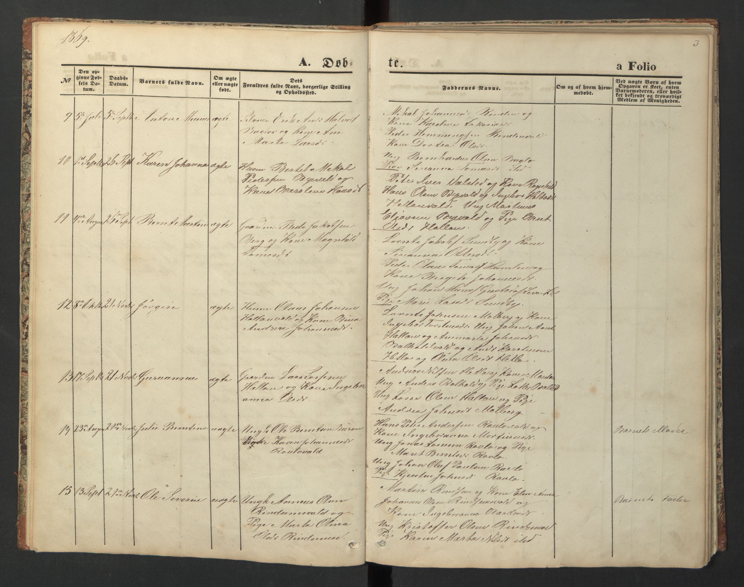 Ministerialprotokoller, klokkerbøker og fødselsregistre - Nord-Trøndelag, SAT/A-1458/726/L0271: Parish register (copy) no. 726C02, 1869-1897, p. 3
