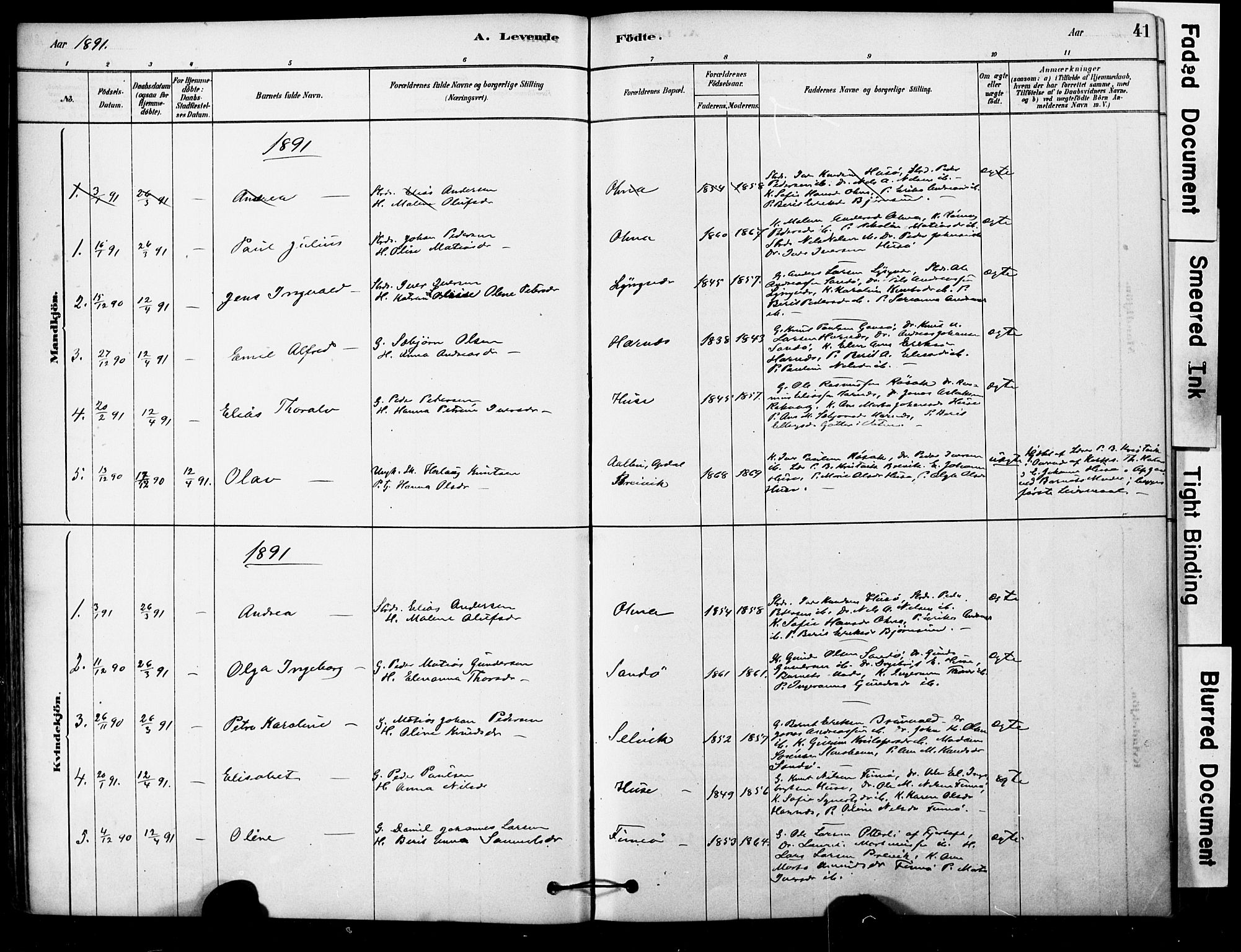 Ministerialprotokoller, klokkerbøker og fødselsregistre - Møre og Romsdal, AV/SAT-A-1454/561/L0729: Parish register (official) no. 561A03, 1878-1900, p. 41