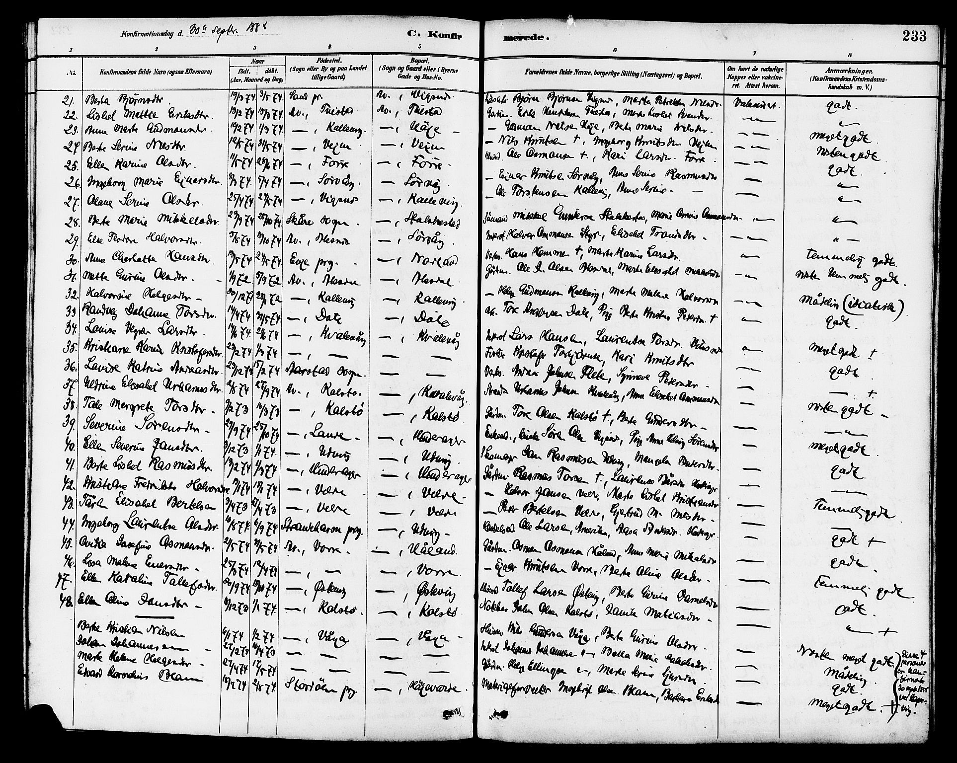 Avaldsnes sokneprestkontor, AV/SAST-A -101851/H/Ha/Hab/L0007: Parish register (copy) no. B 7, 1885-1909, p. 233