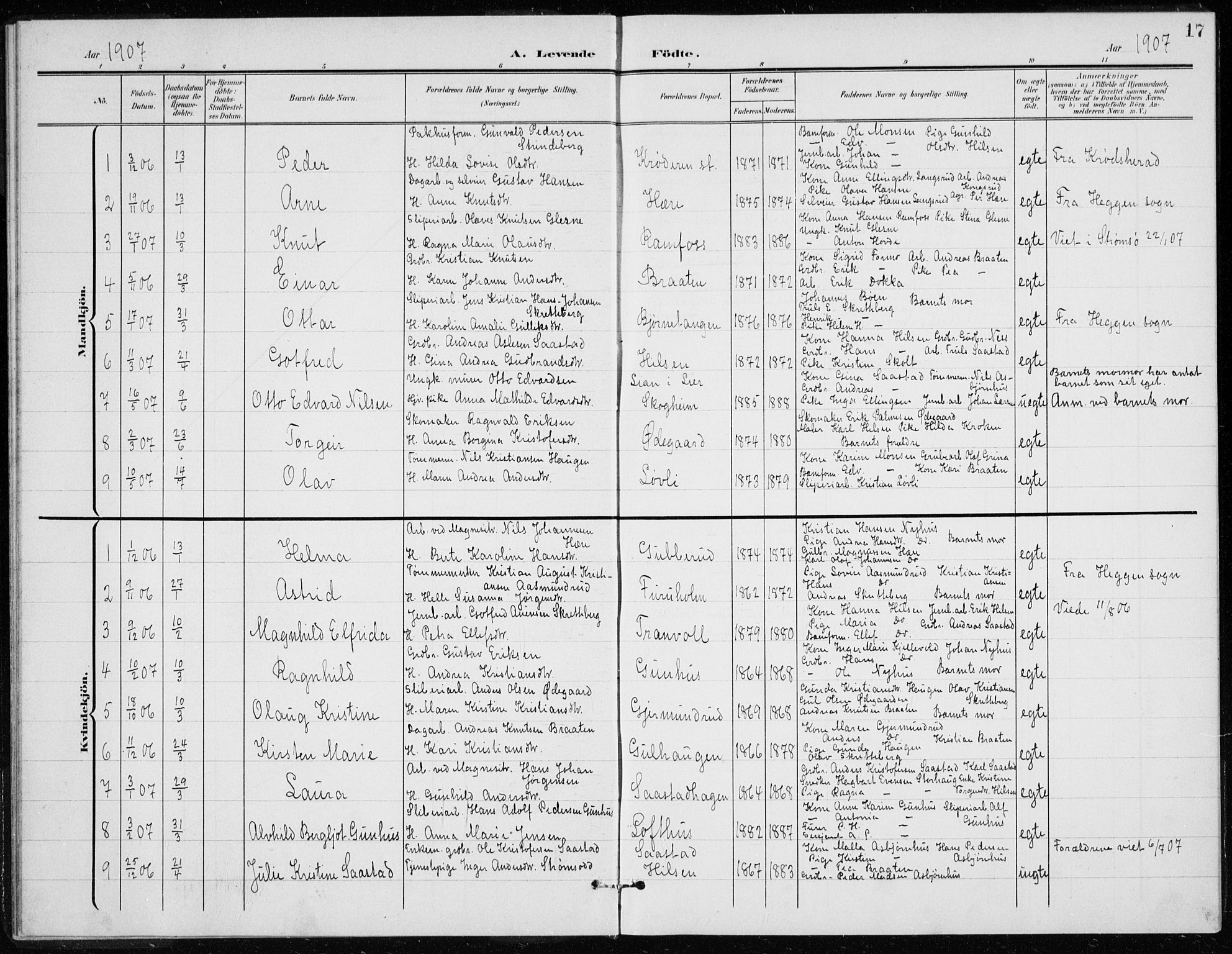 Modum kirkebøker, AV/SAKO-A-234/G/Gd/L0001: Parish register (copy) no. IV 1, 1901-1921, p. 17