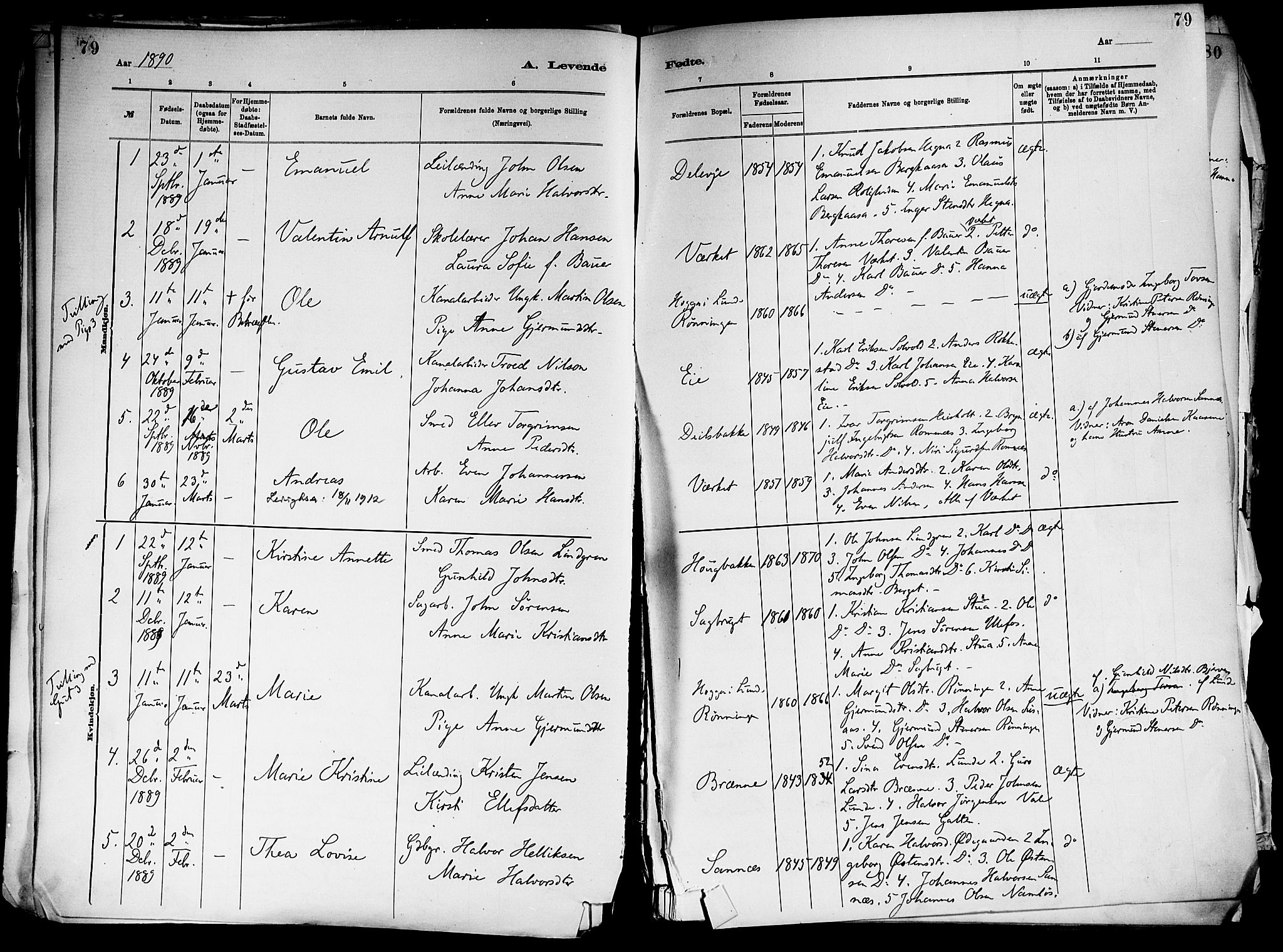 Holla kirkebøker, SAKO/A-272/F/Fa/L0008: Parish register (official) no. 8, 1882-1897, p. 79