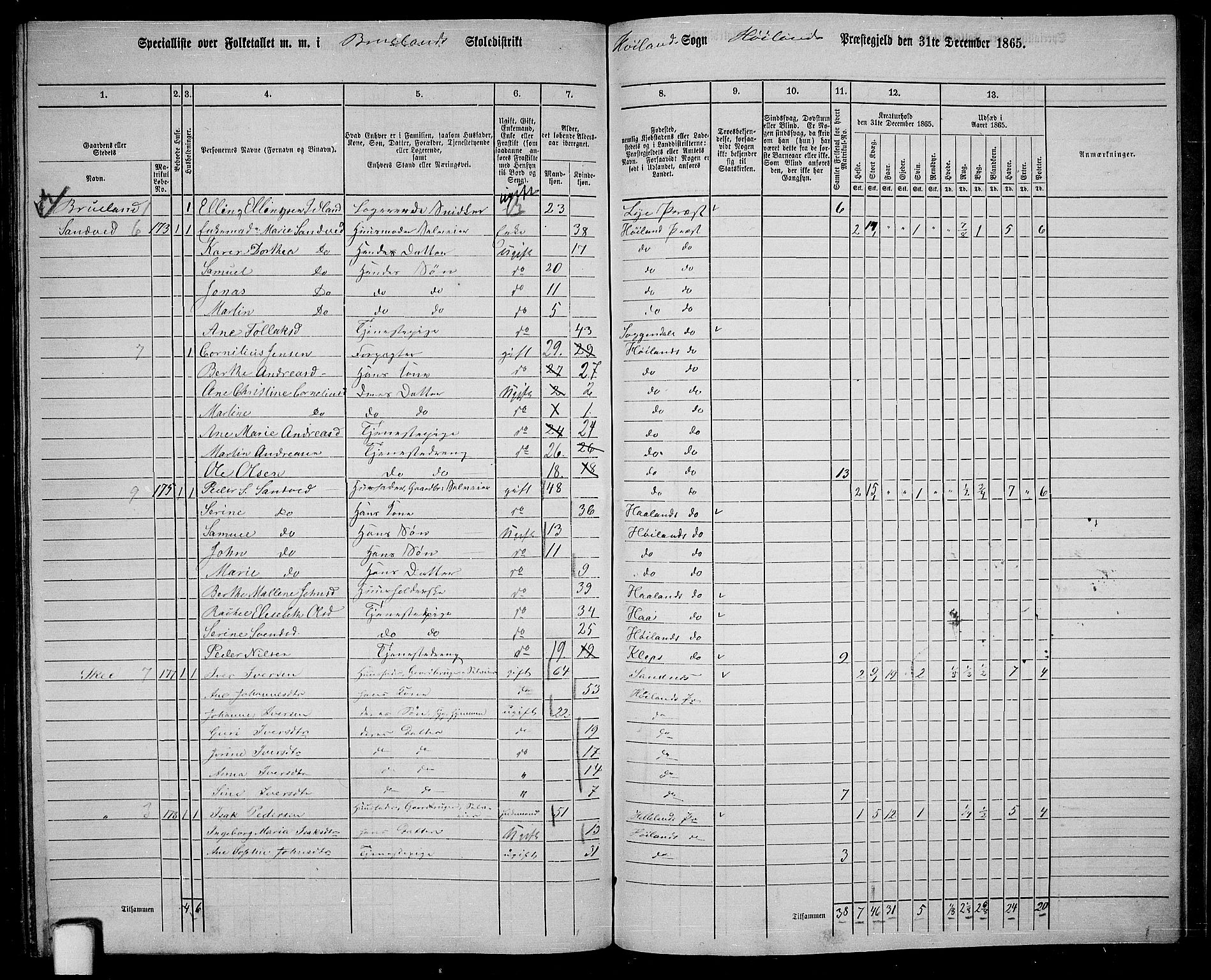 RA, 1865 census for Høyland, 1865, p. 129