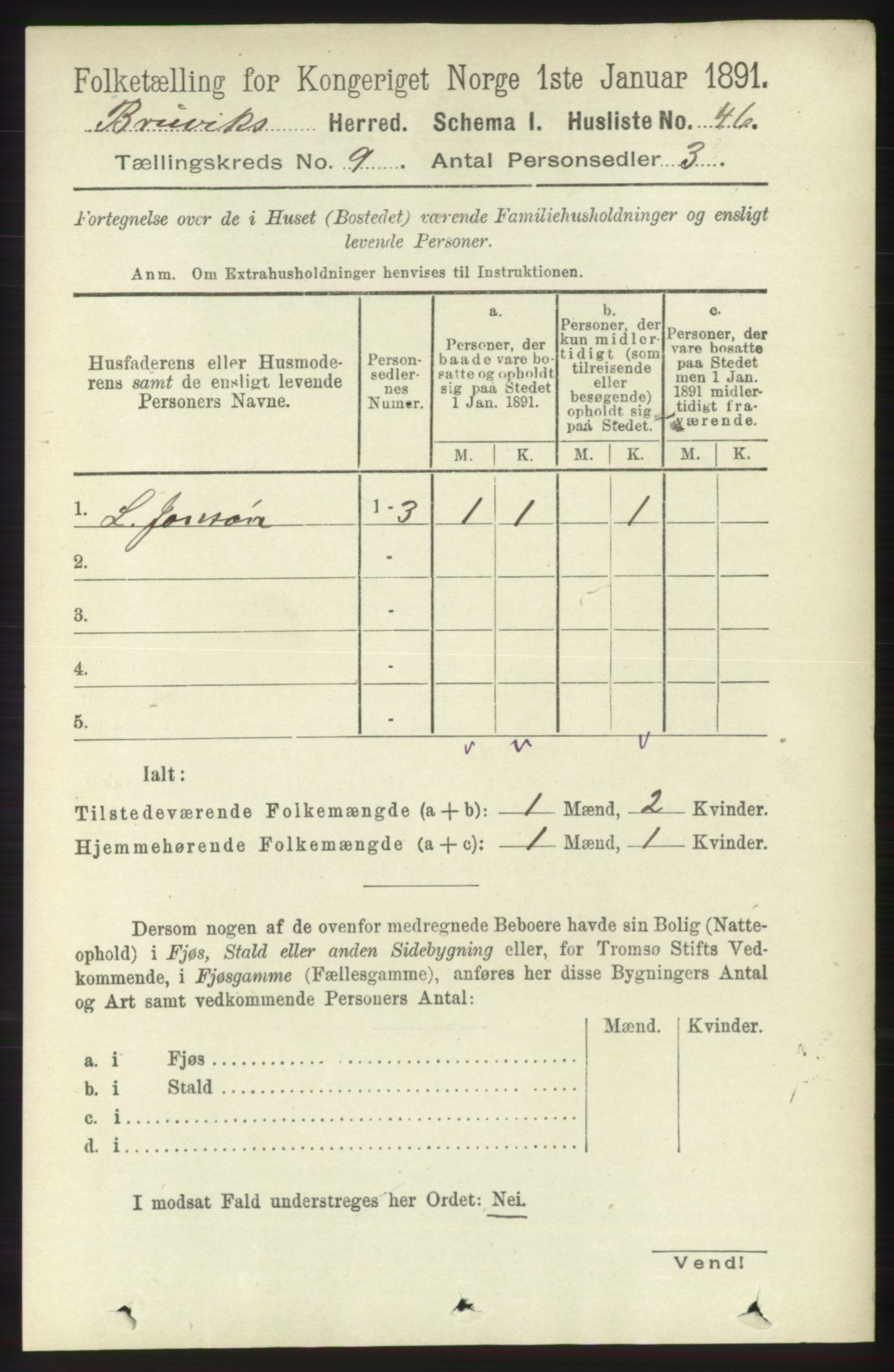 RA, 1891 census for 1251 Bruvik, 1891, p. 3256