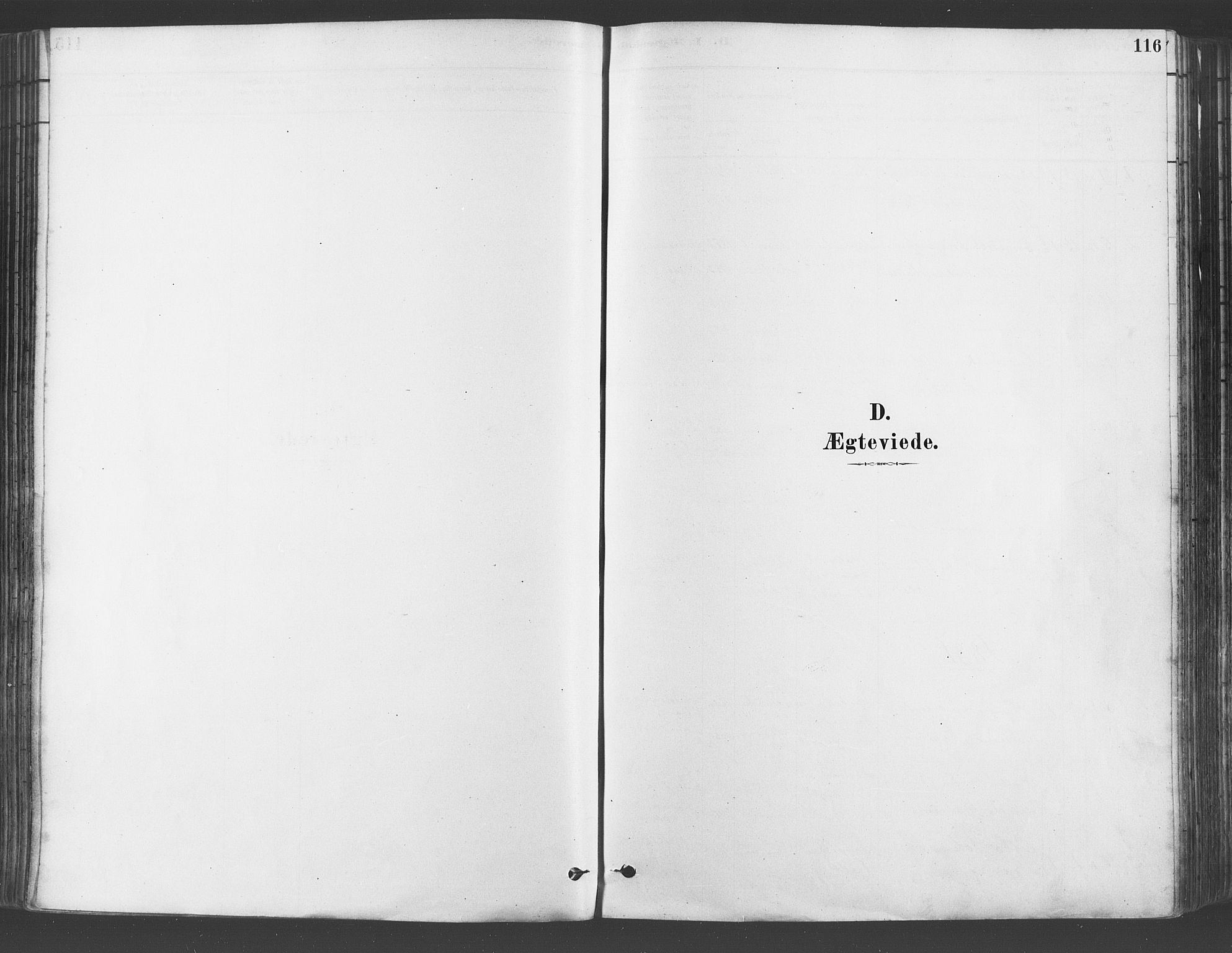 Gamlebyen prestekontor Kirkebøker, AV/SAO-A-10884/F/Fa/L0006: Parish register (official) no. 6, 1881-1890, p. 116