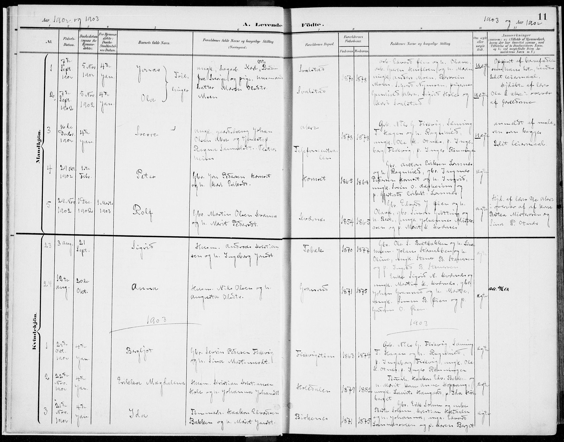 Rendalen prestekontor, AV/SAH-PREST-054/H/Ha/Haa/L0011: Parish register (official) no. 11, 1901-1925, p. 11