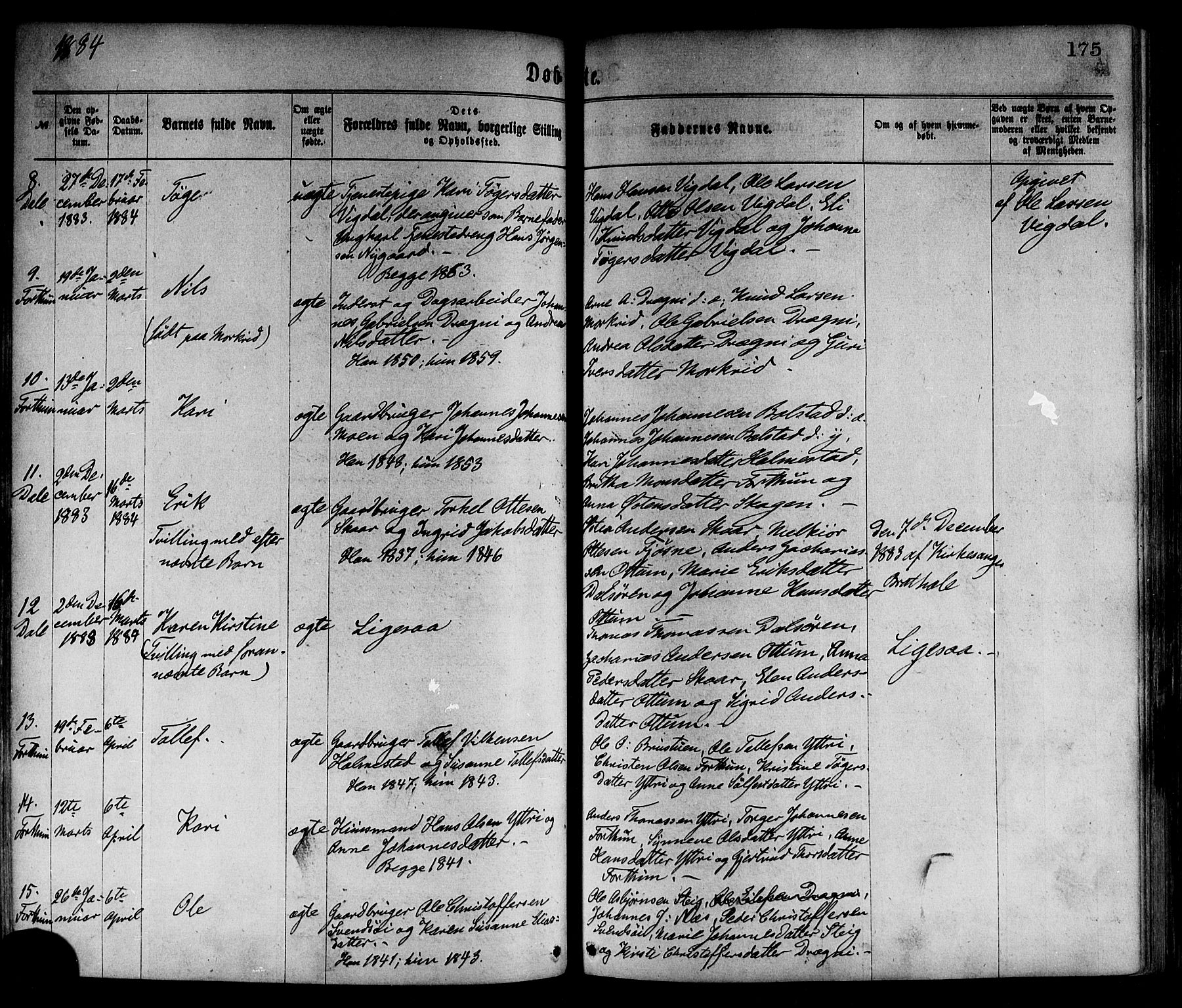 Luster sokneprestembete, AV/SAB-A-81101/H/Haa/Haaa/L0010: Parish register (official) no. A 10, 1871-1886, p. 175