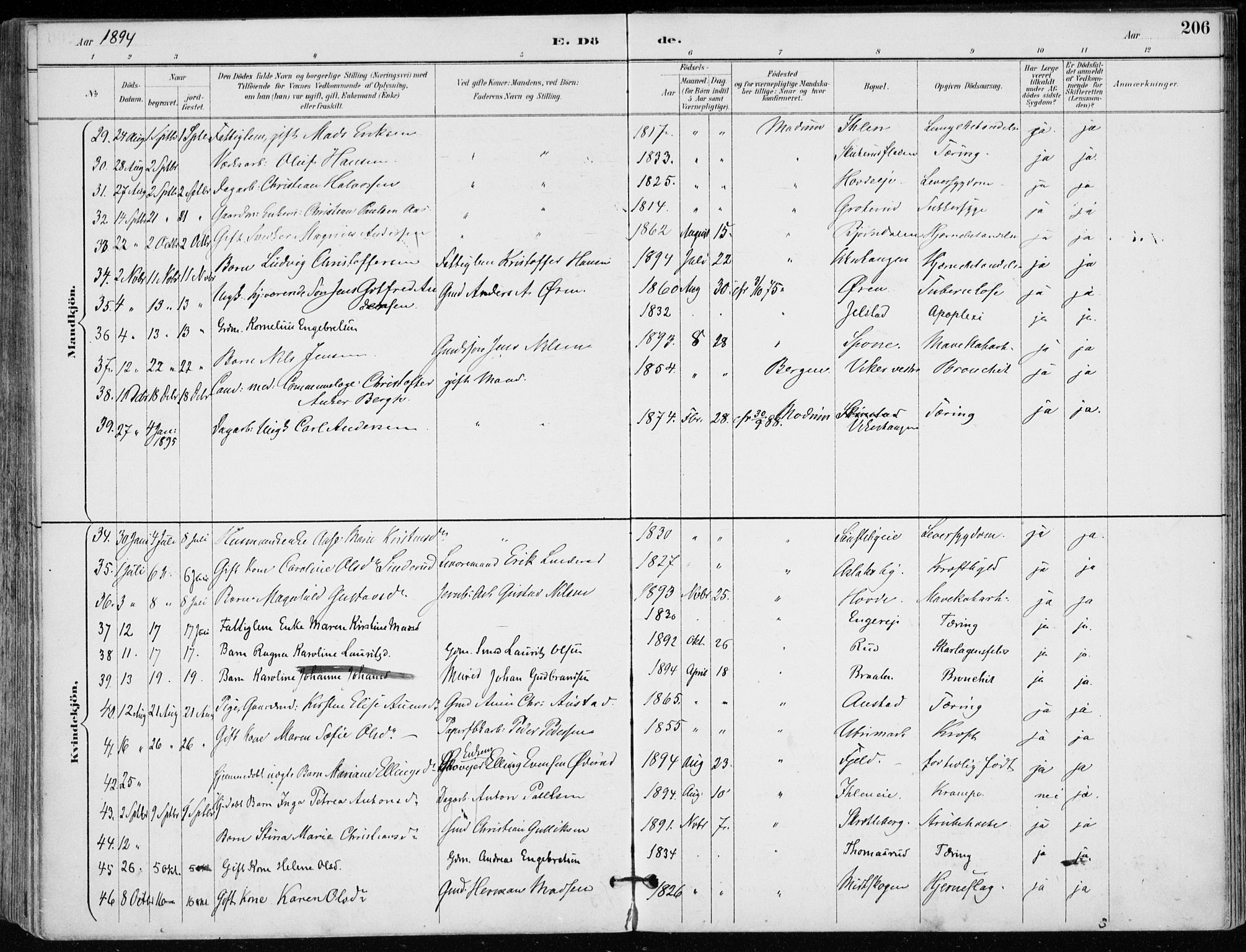 Modum kirkebøker, AV/SAKO-A-234/F/Fa/L0012: Parish register (official) no. 12, 1890-1898, p. 206