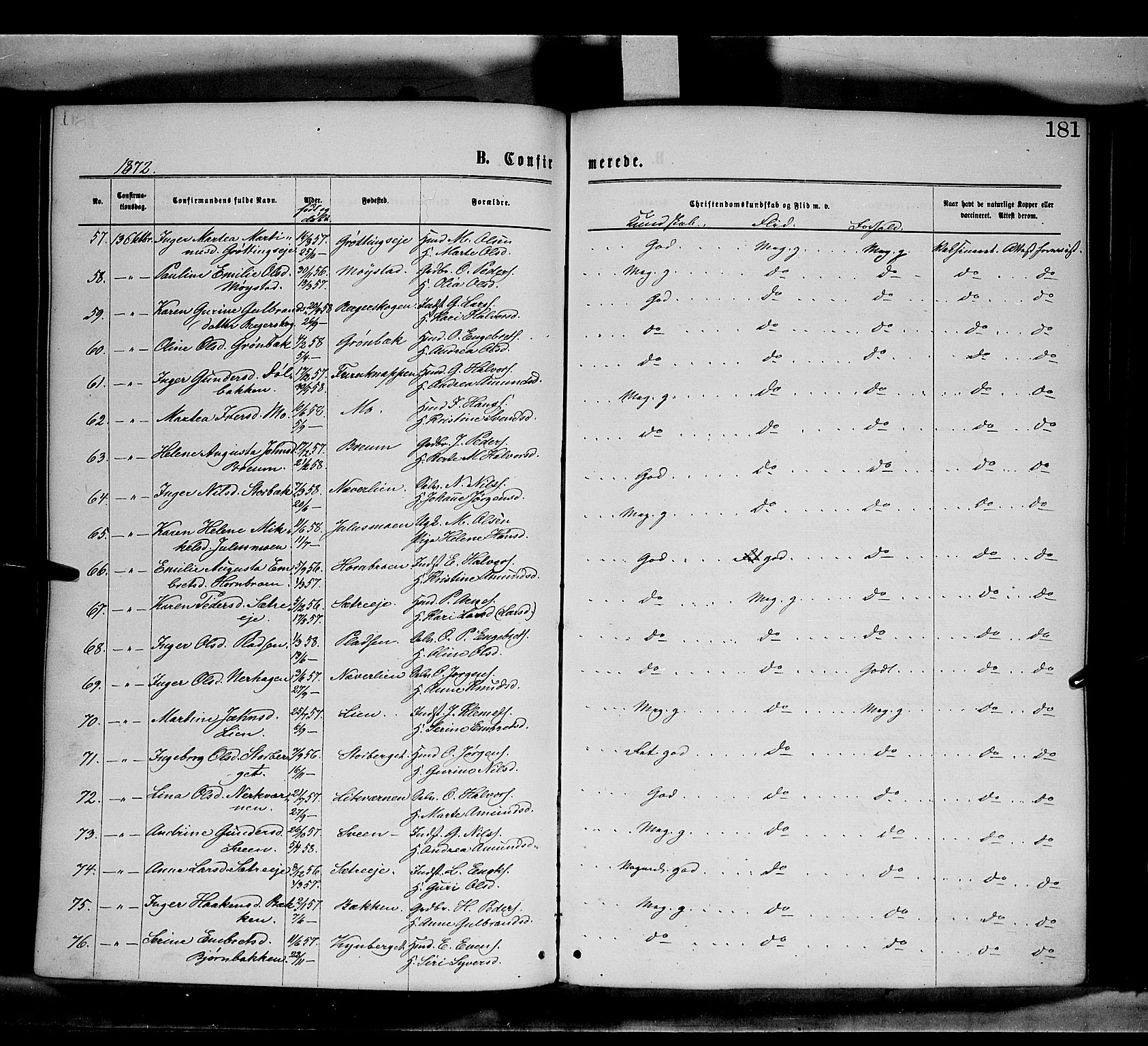 Elverum prestekontor, AV/SAH-PREST-044/H/Ha/Haa/L0011: Parish register (official) no. 11, 1869-1879, p. 181