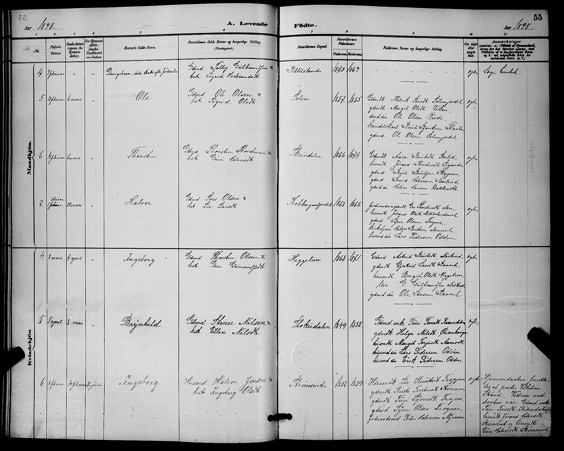Nore kirkebøker, SAKO/A-238/G/Ga/L0003: Parish register (copy) no. I 3, 1886-1903, p. 55