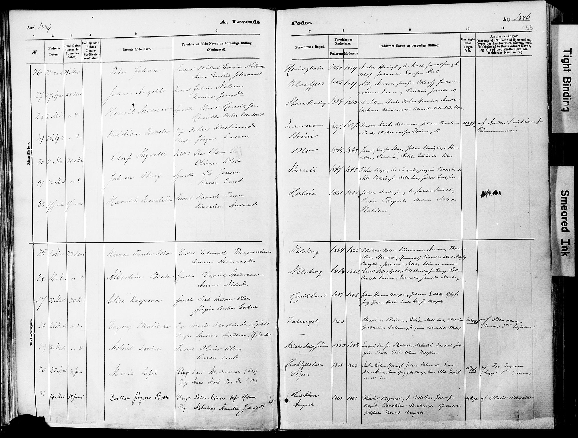 Ministerialprotokoller, klokkerbøker og fødselsregistre - Nordland, AV/SAT-A-1459/820/L0295: Parish register (official) no. 820A16, 1880-1896, p. 55