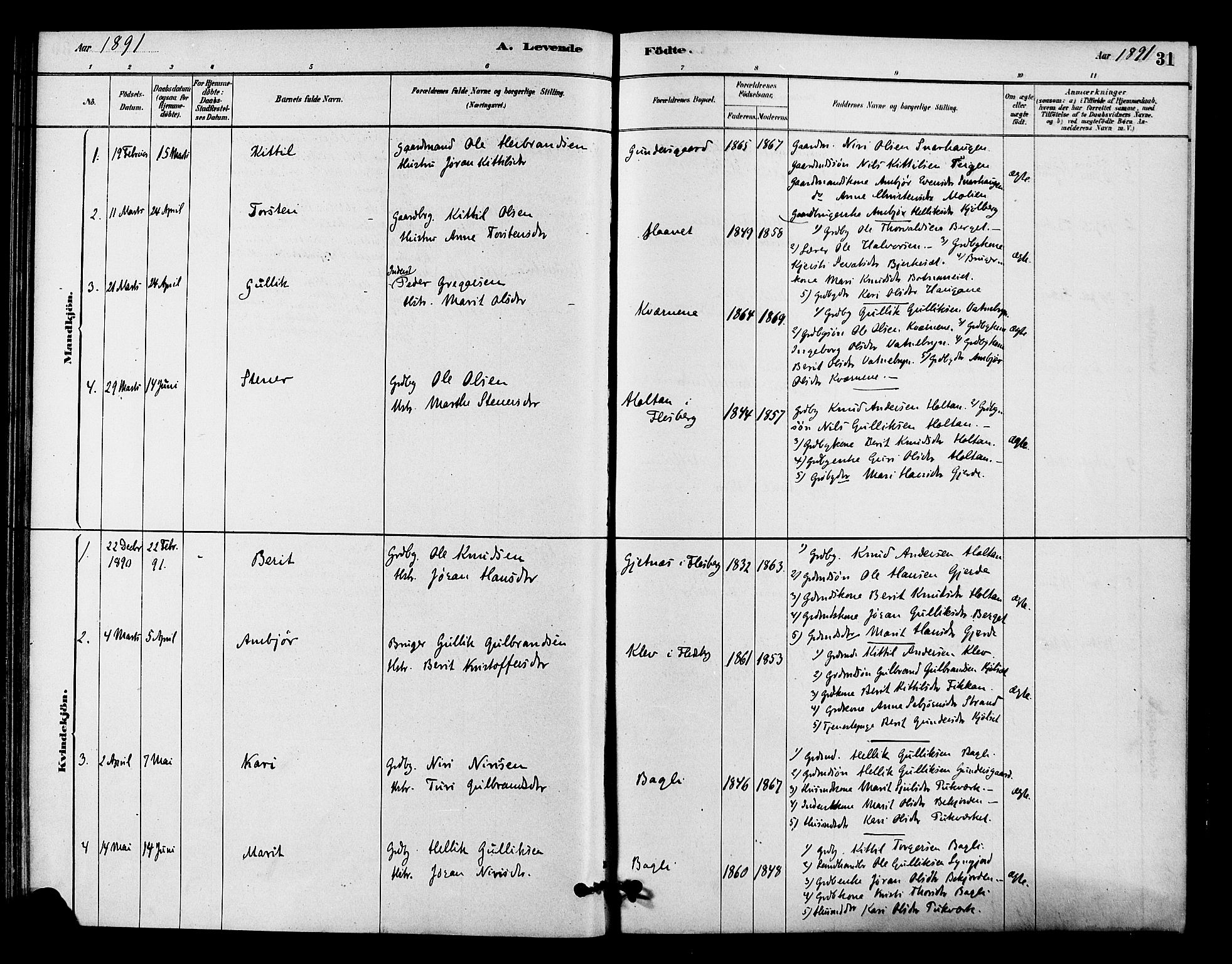 Flesberg kirkebøker, SAKO/A-18/F/Fc/L0001: Parish register (official) no. III 1, 1879-1905, p. 31