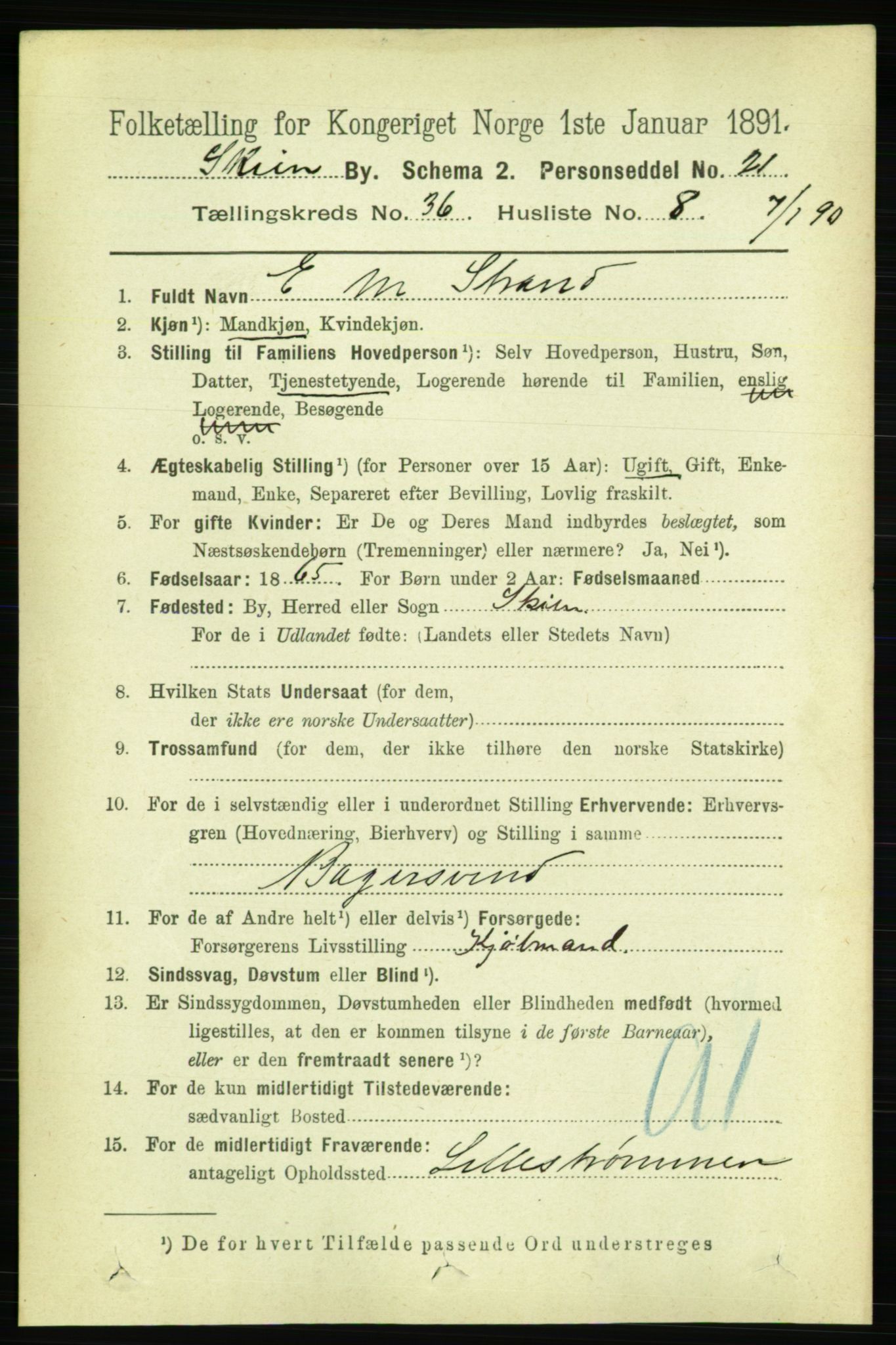 RA, 1891 census for 0806 Skien, 1891, p. 8059