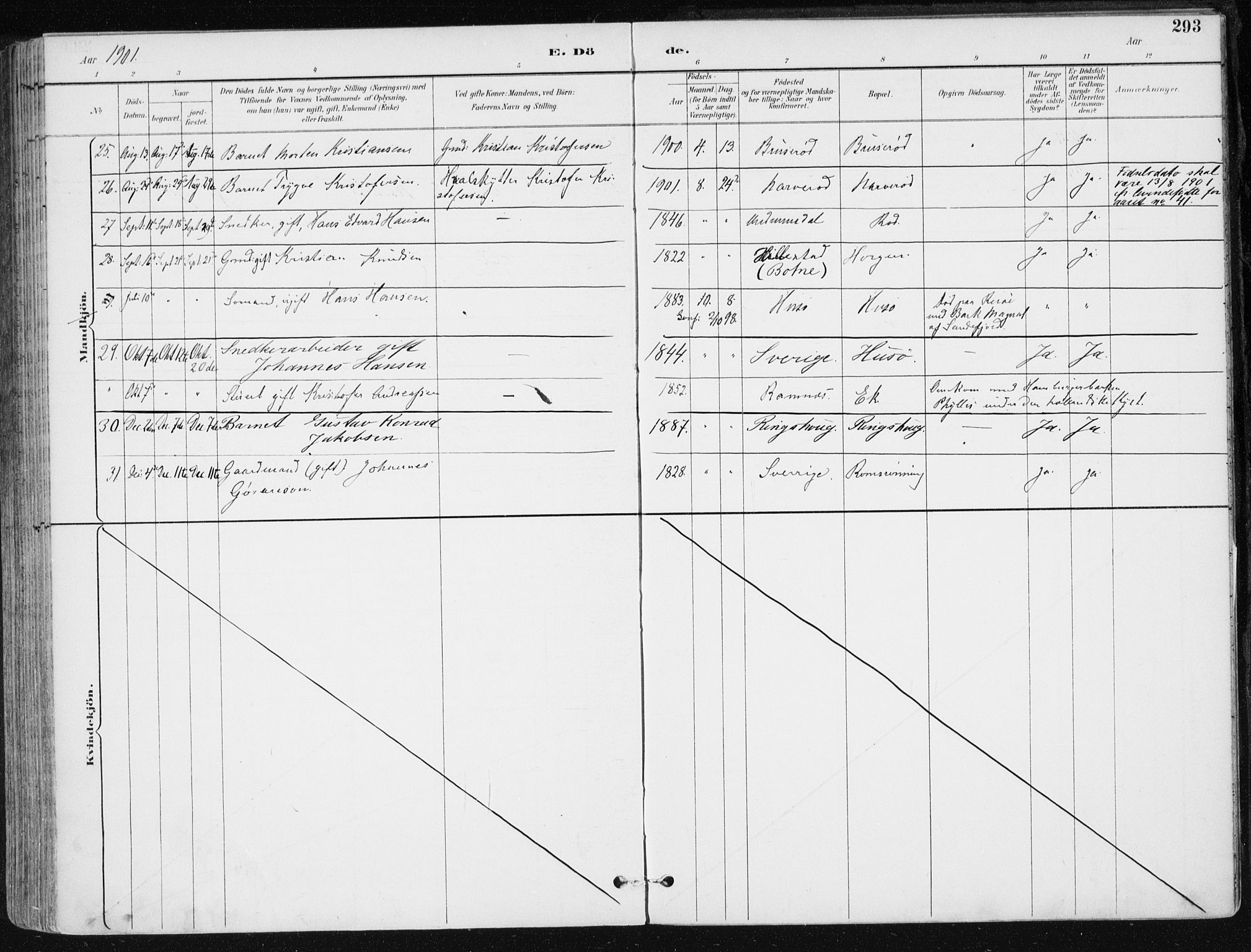 Sem kirkebøker, AV/SAKO-A-5/F/Fb/L0005: Parish register (official) no. II 5, 1892-1904, p. 293