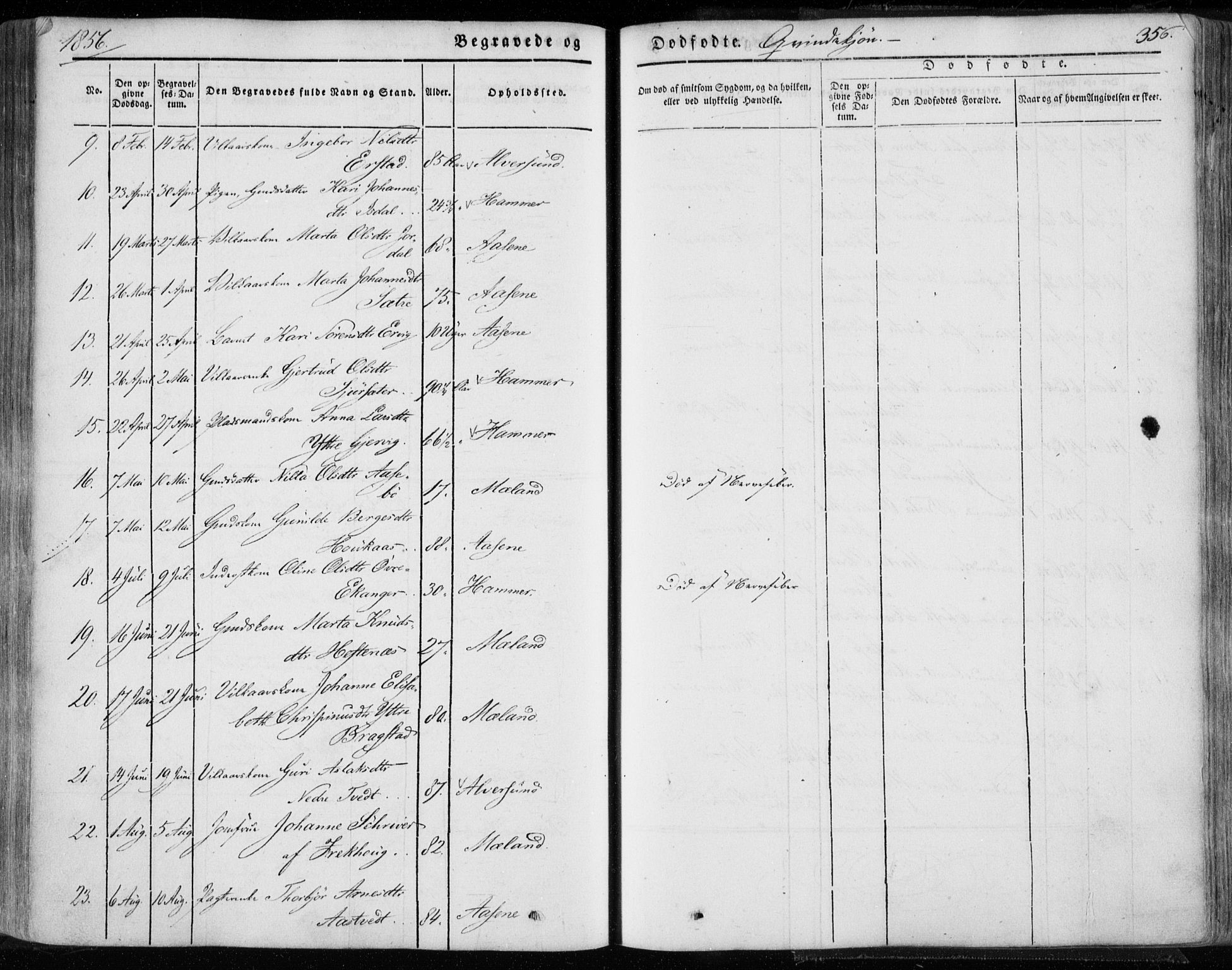 Hamre sokneprestembete, SAB/A-75501/H/Ha/Haa/Haaa/L0013: Parish register (official) no. A 13, 1846-1857, p. 356