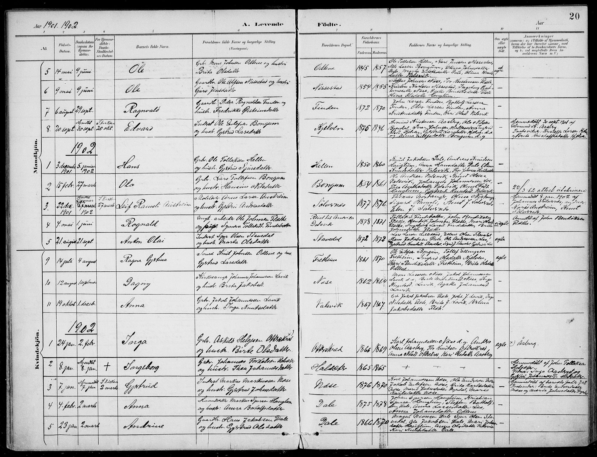 Vik sokneprestembete, AV/SAB-A-81501/H/Haa/Haac/L0002: Parish register (official) no. C  2, 1891-1910, p. 20