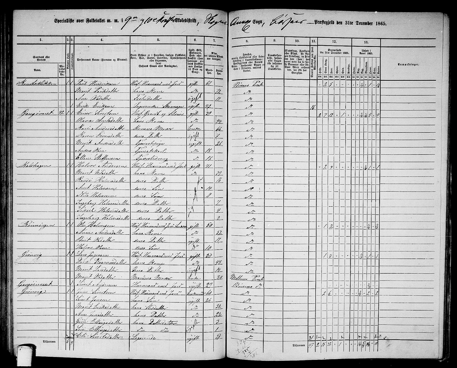 RA, 1865 census for Børsa, 1865, p. 113