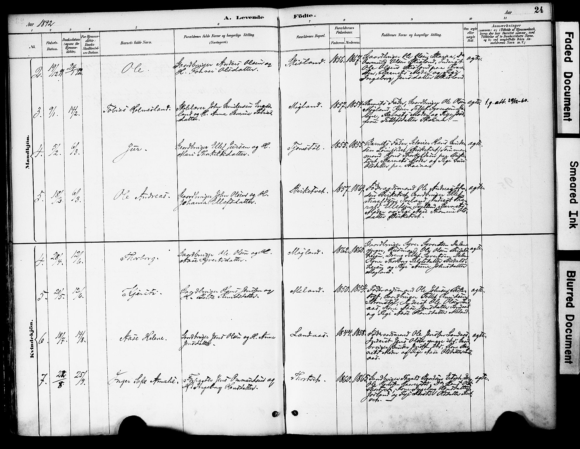 Evje sokneprestkontor, AV/SAK-1111-0008/F/Fa/Fac/L0003: Parish register (official) no. A 3, 1884-1909, p. 24