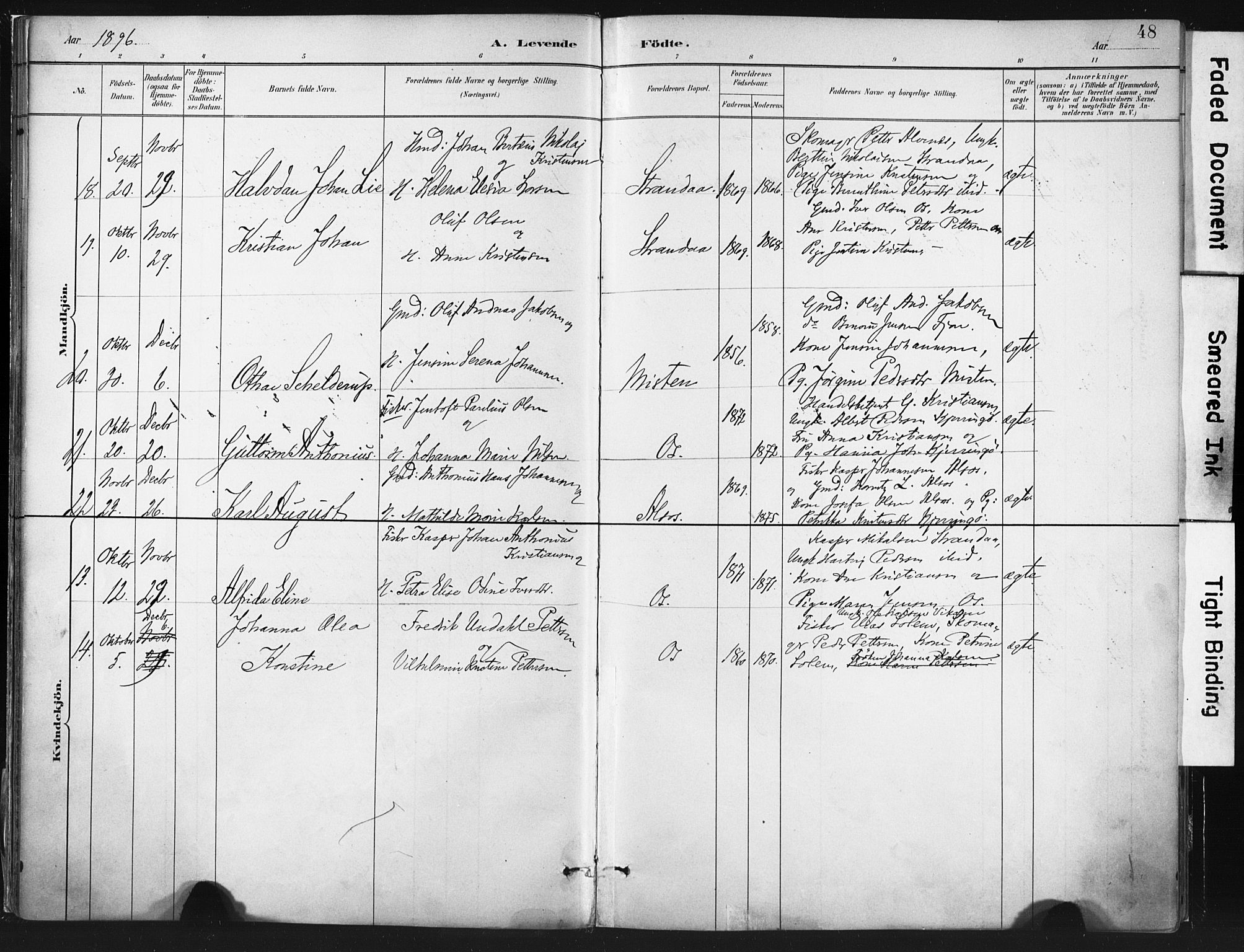 Ministerialprotokoller, klokkerbøker og fødselsregistre - Nordland, AV/SAT-A-1459/803/L0071: Parish register (official) no. 803A01, 1881-1897, p. 48