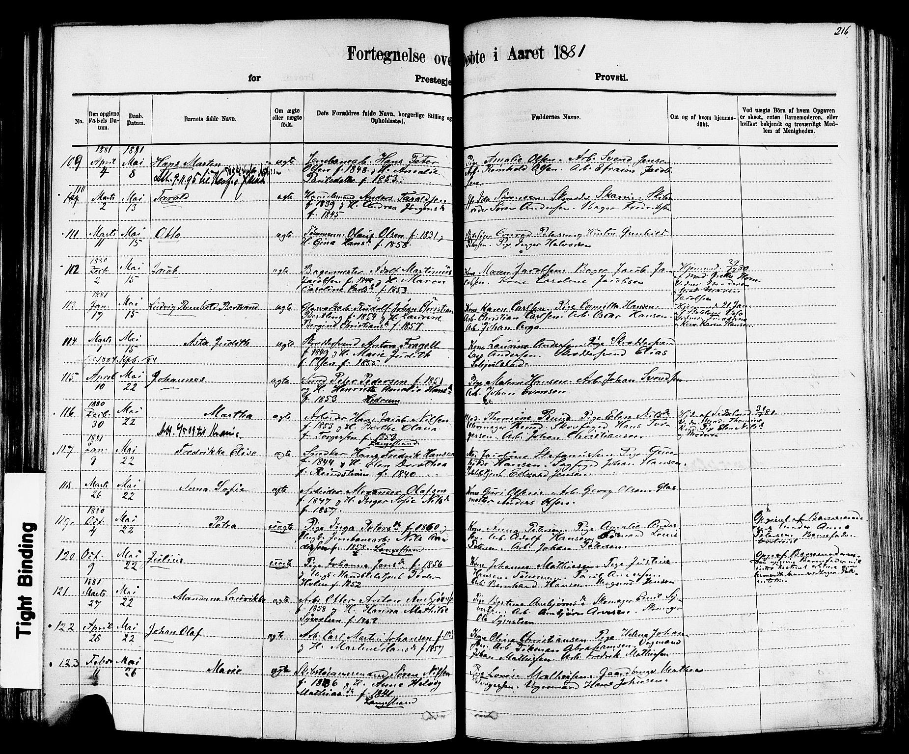 Larvik kirkebøker, AV/SAKO-A-352/F/Fa/L0006: Parish register (official) no. I 6, 1871-1883, p. 216