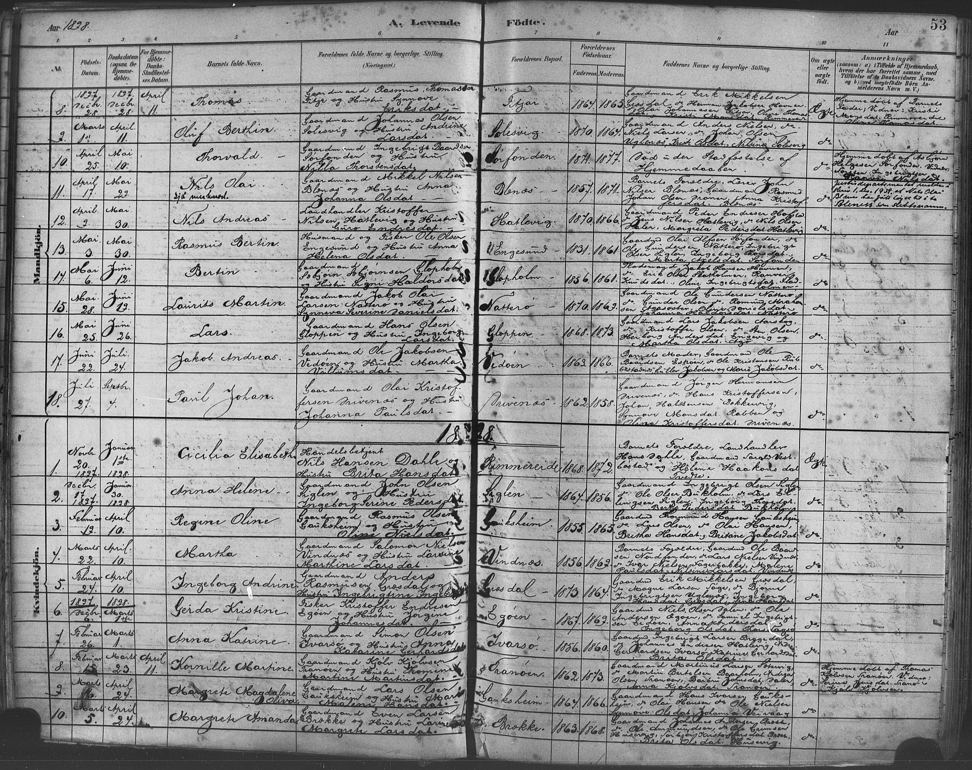 Fitjar sokneprestembete, AV/SAB-A-99926: Parish register (official) no. A 2, 1882-1899, p. 53