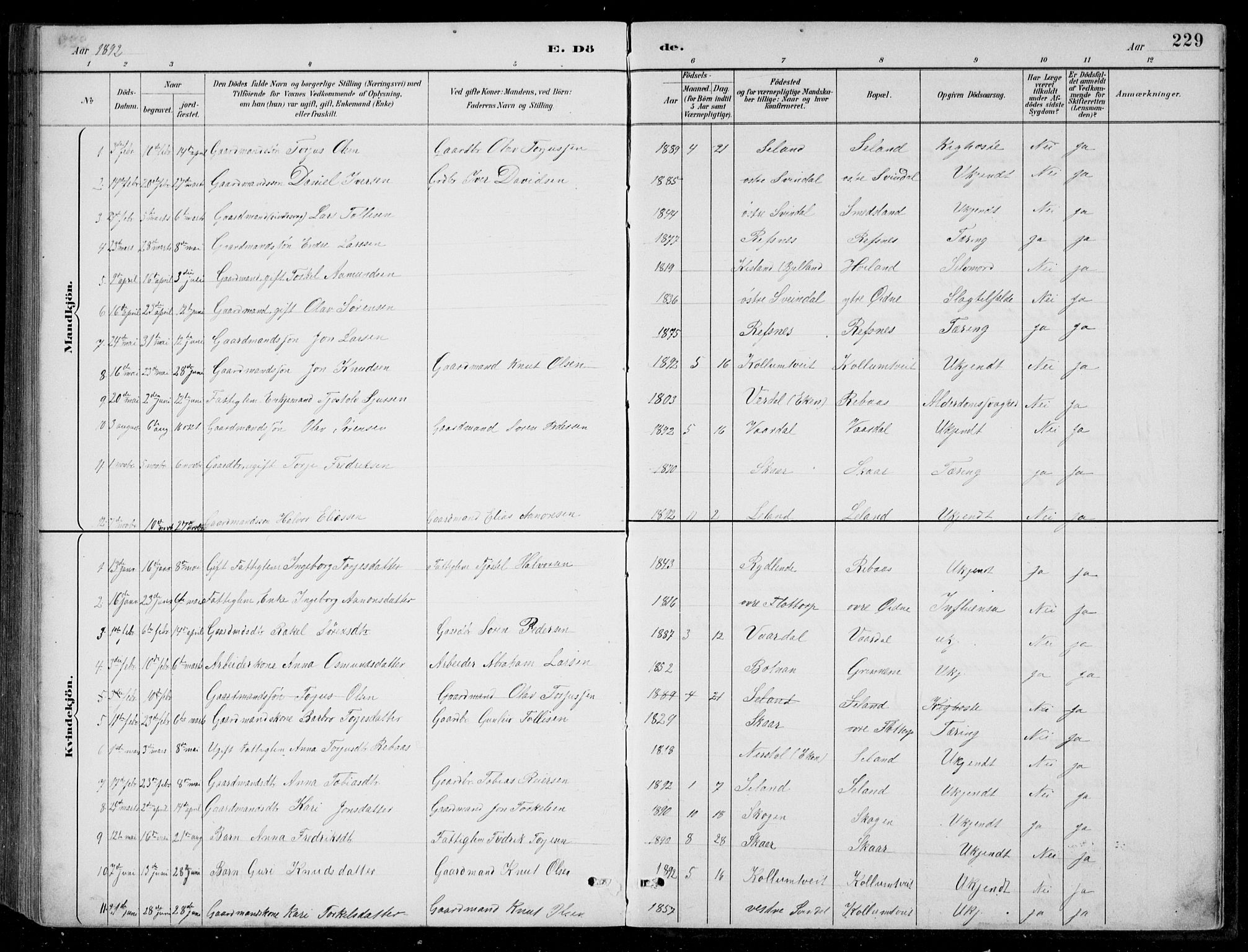 Bjelland sokneprestkontor, SAK/1111-0005/F/Fb/Fbc/L0003: Parish register (copy) no. B 3, 1887-1924, p. 229