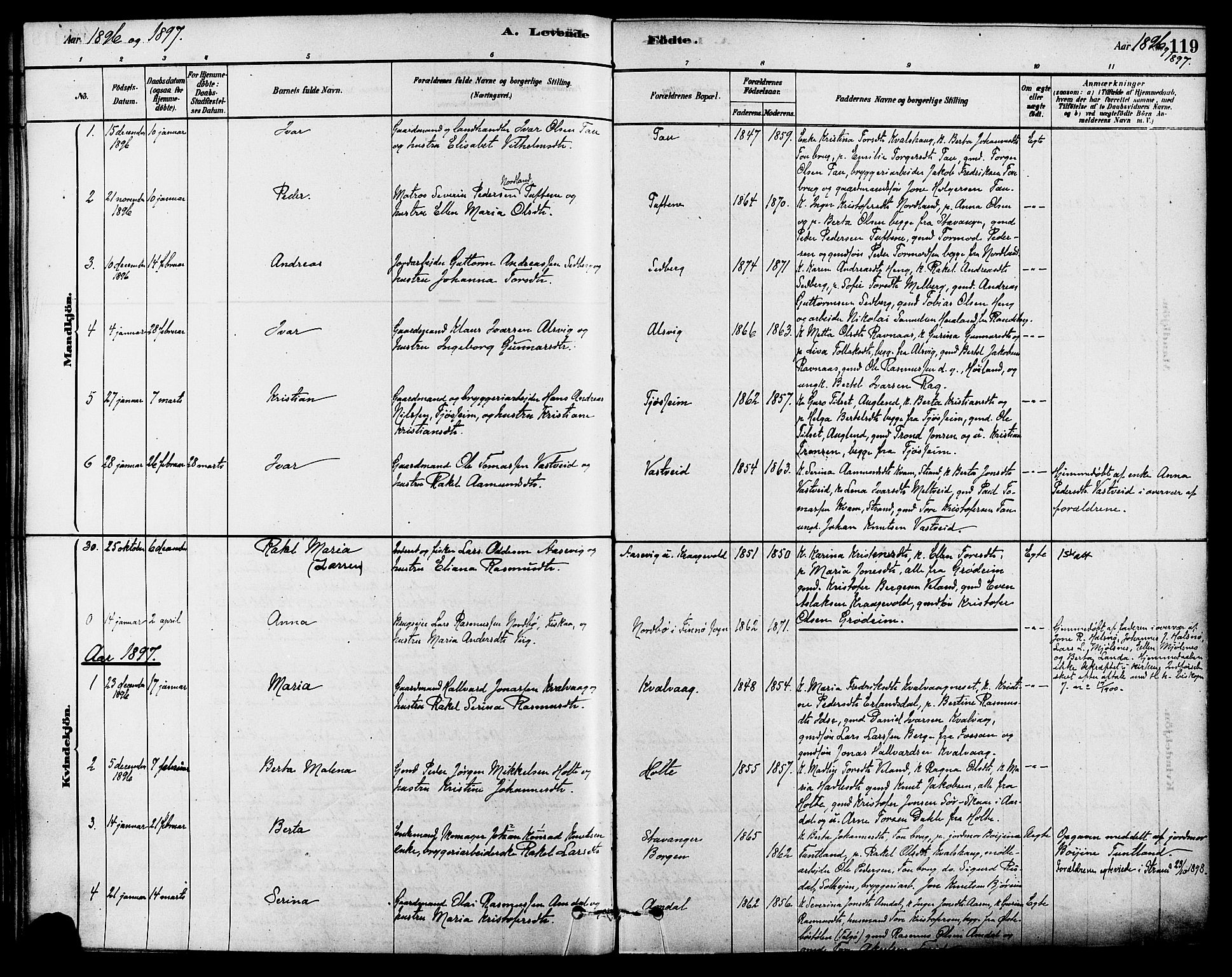 Strand sokneprestkontor, SAST/A-101828/H/Ha/Haa/L0009: Parish register (official) no. A 9, 1877-1908, p. 119