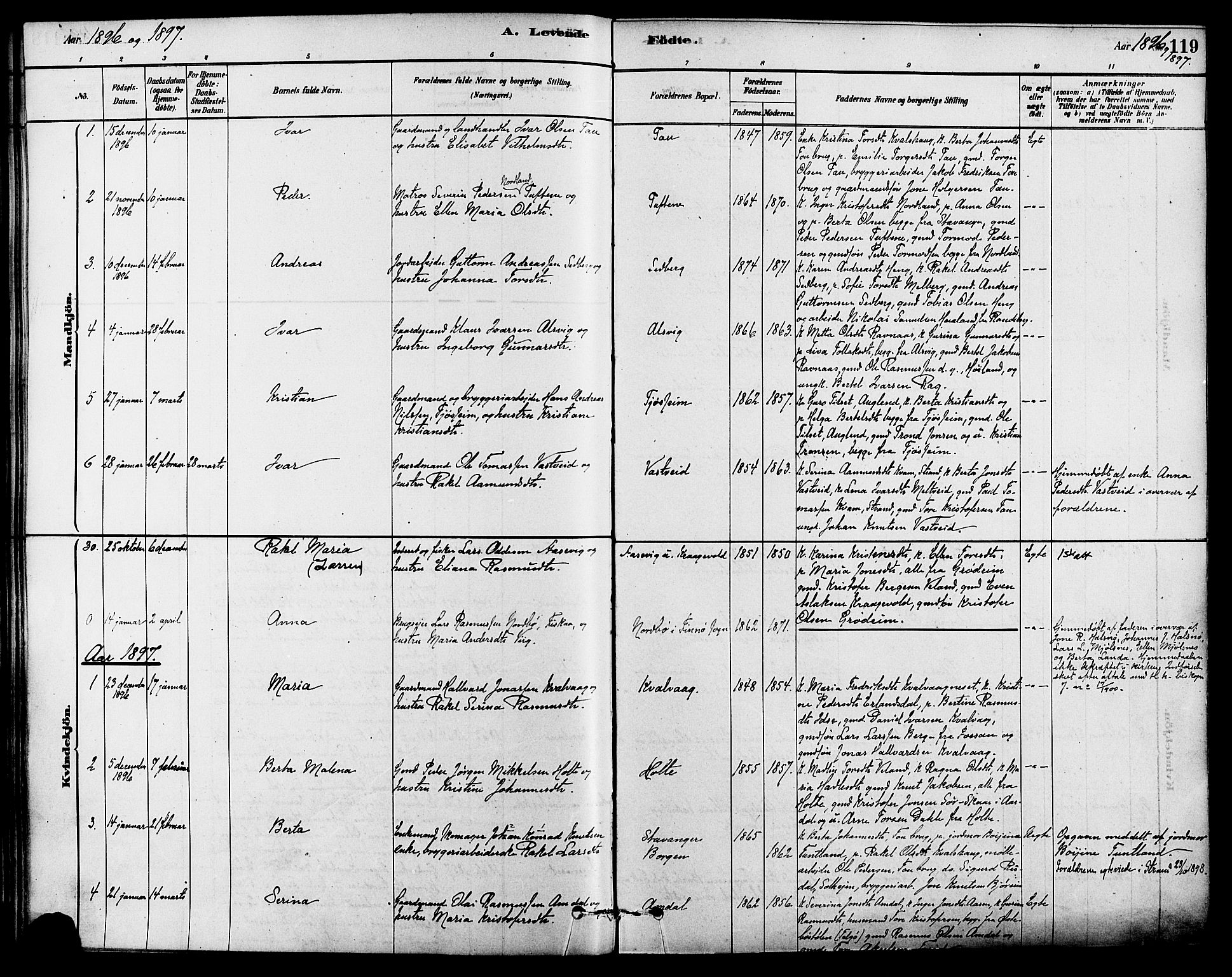 Strand sokneprestkontor, AV/SAST-A-101828/H/Ha/Haa/L0009: Parish register (official) no. A 9, 1877-1908, p. 119