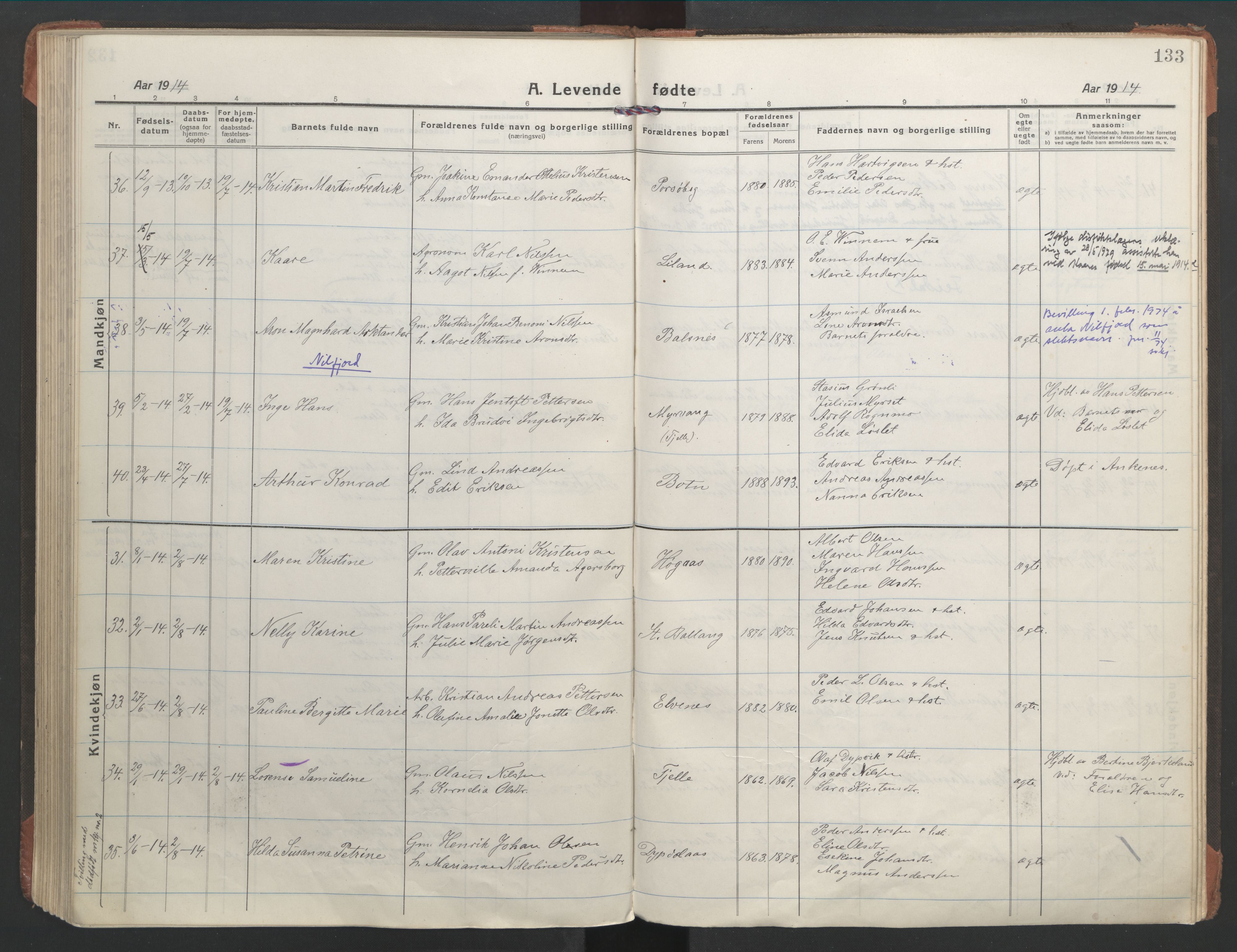 Ministerialprotokoller, klokkerbøker og fødselsregistre - Nordland, AV/SAT-A-1459/863/L0900: Parish register (official) no. 863A12, 1906-1915, p. 133