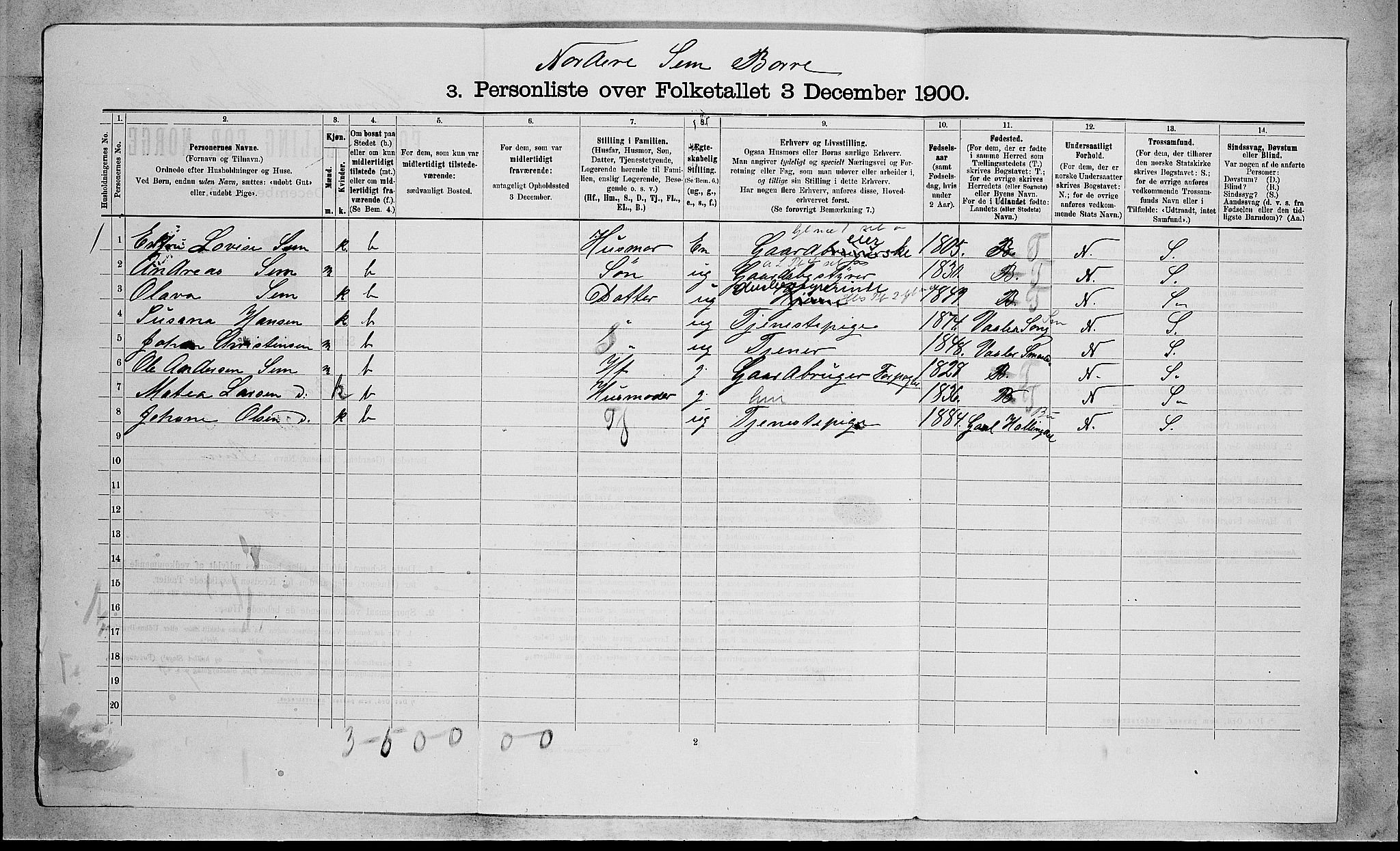 RA, 1900 census for Borre, 1900, p. 293