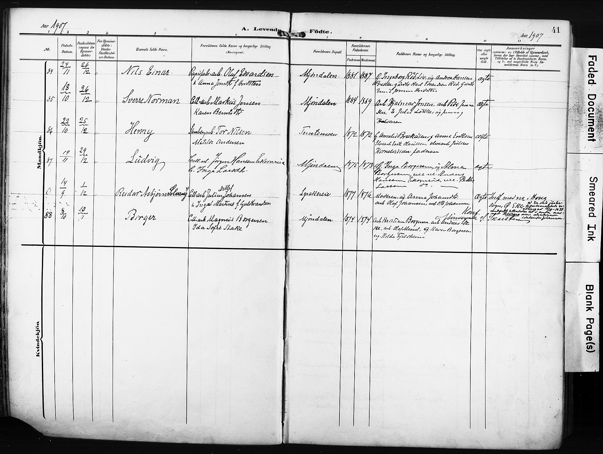 Nedre Eiker kirkebøker, AV/SAKO-A-612/F/Fa/L0006: Parish register (official) no. 6, 1906-1912, p. 41