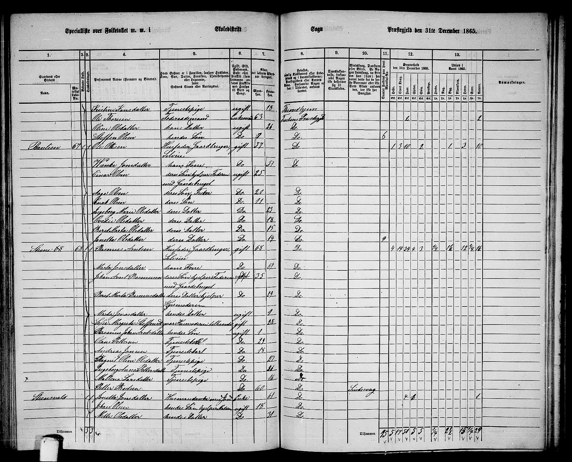 RA, 1865 census for Frosta, 1865, p. 126