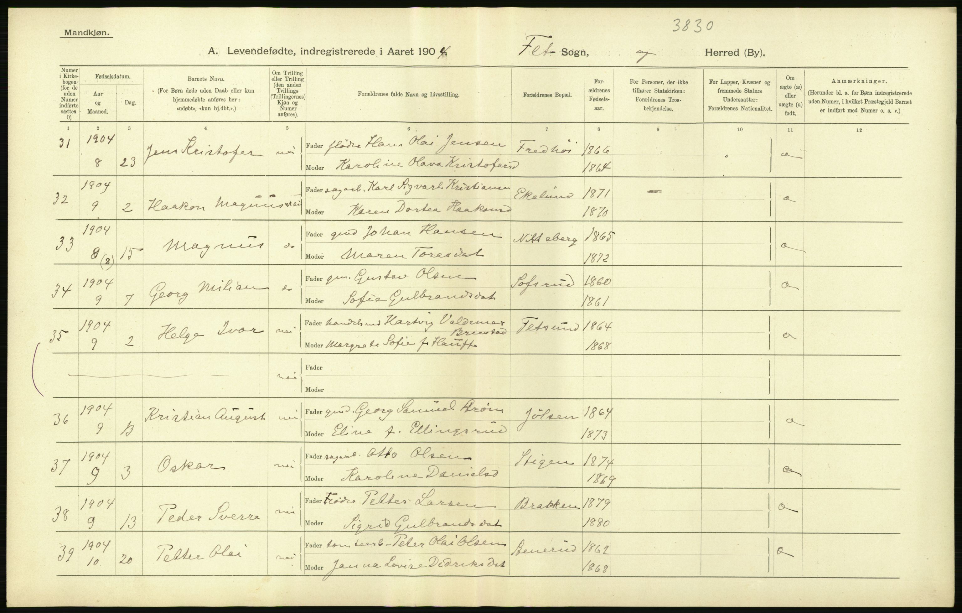 Statistisk sentralbyrå, Sosiodemografiske emner, Befolkning, AV/RA-S-2228/D/Df/Dfa/Dfab/L0002: Akershus amt: Fødte, gifte, døde, 1904, p. 76