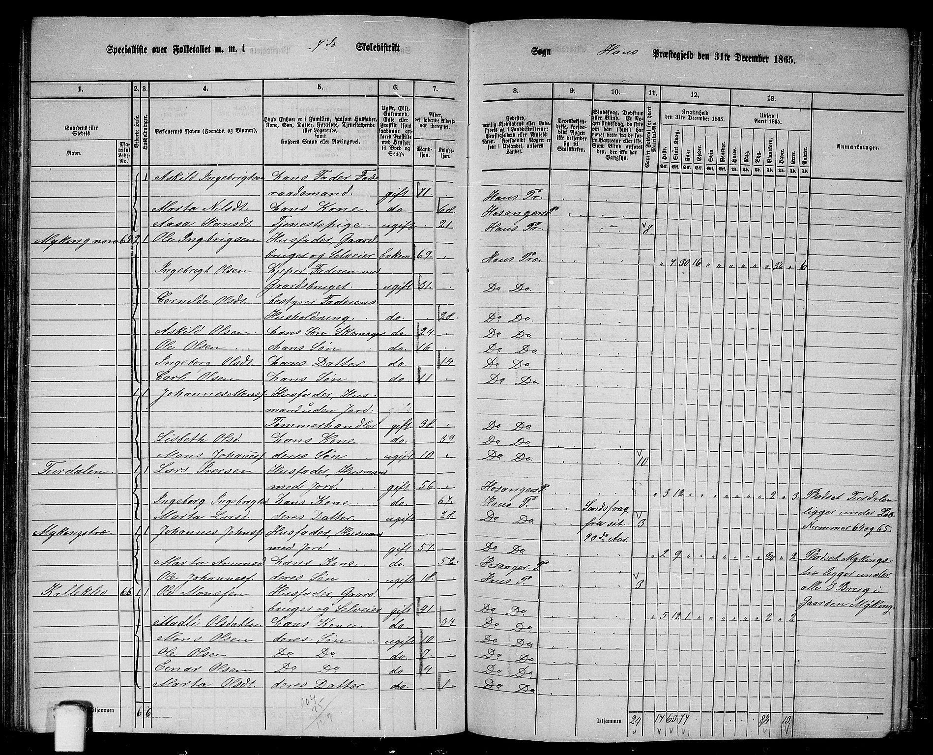 RA, 1865 census for Haus, 1865, p. 131