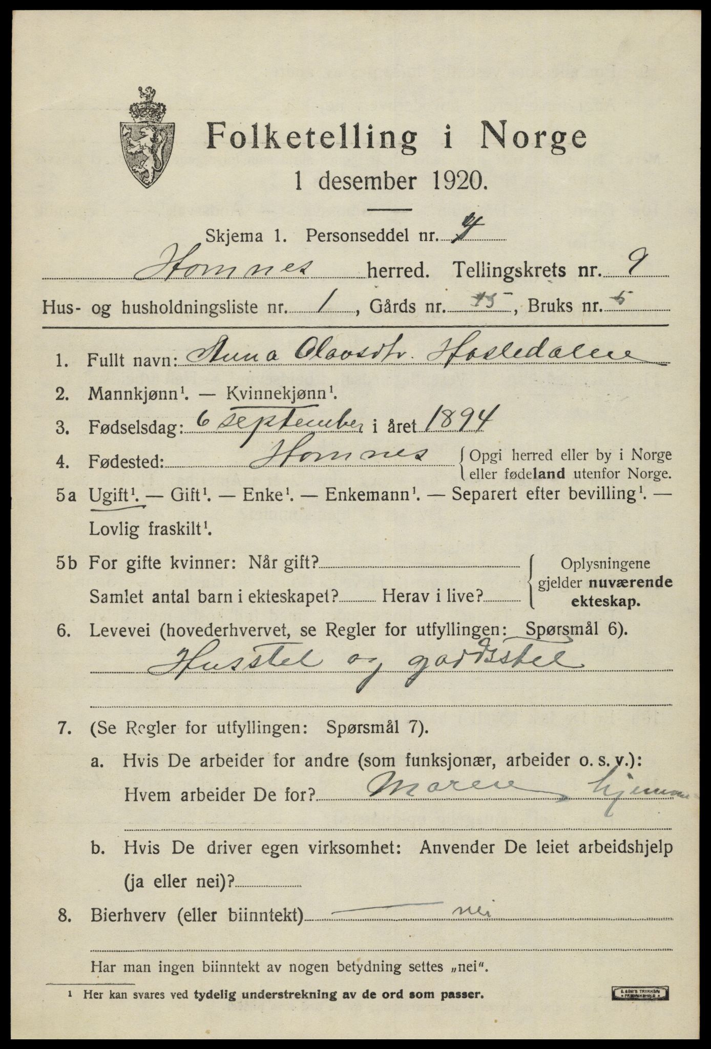 SAK, 1920 census for Hornnes, 1920, p. 2197