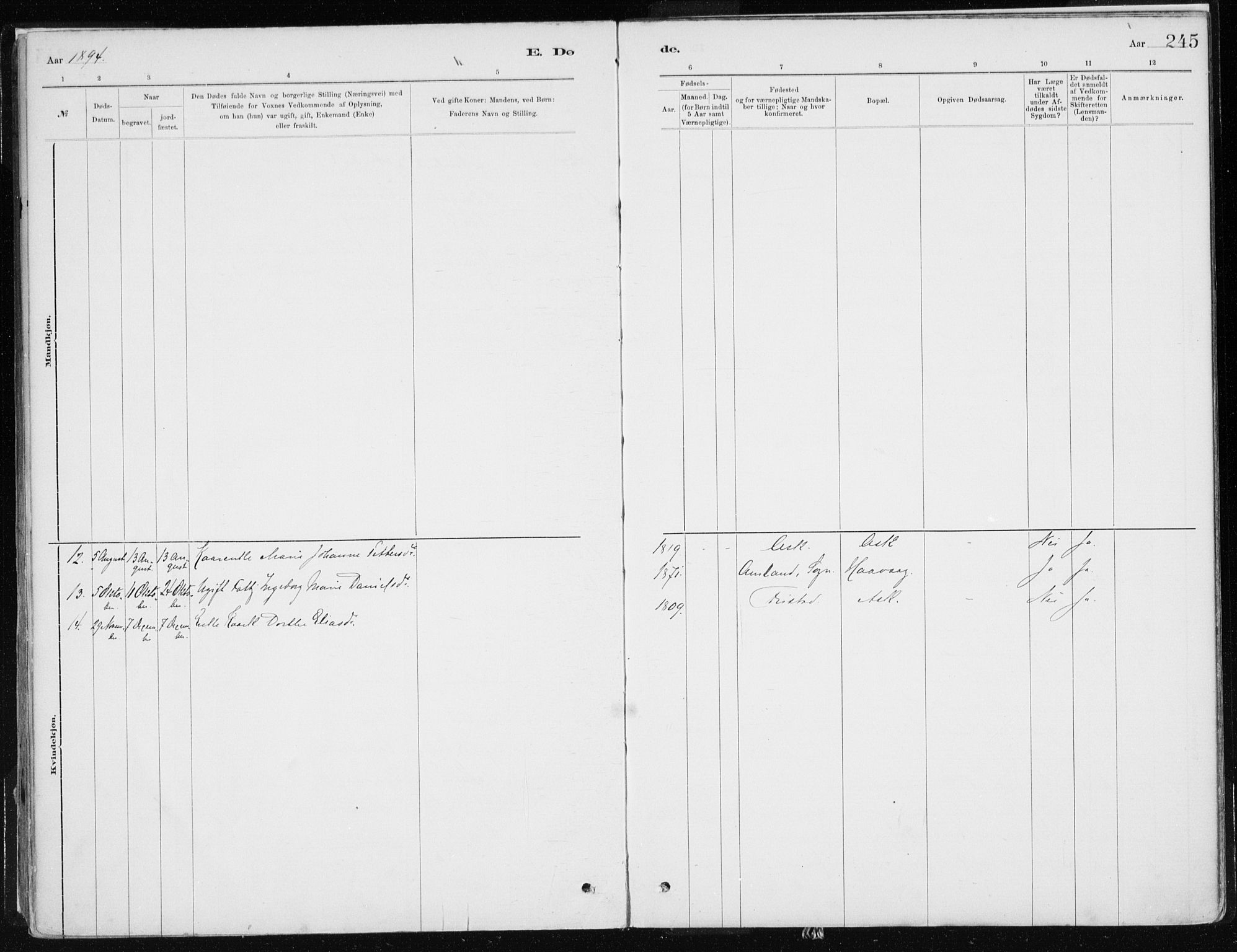 Askvoll sokneprestembete, AV/SAB-A-79501/H/Haa/Haab/L0002: Parish register (official) no. B 2, 1879-1909, p. 245