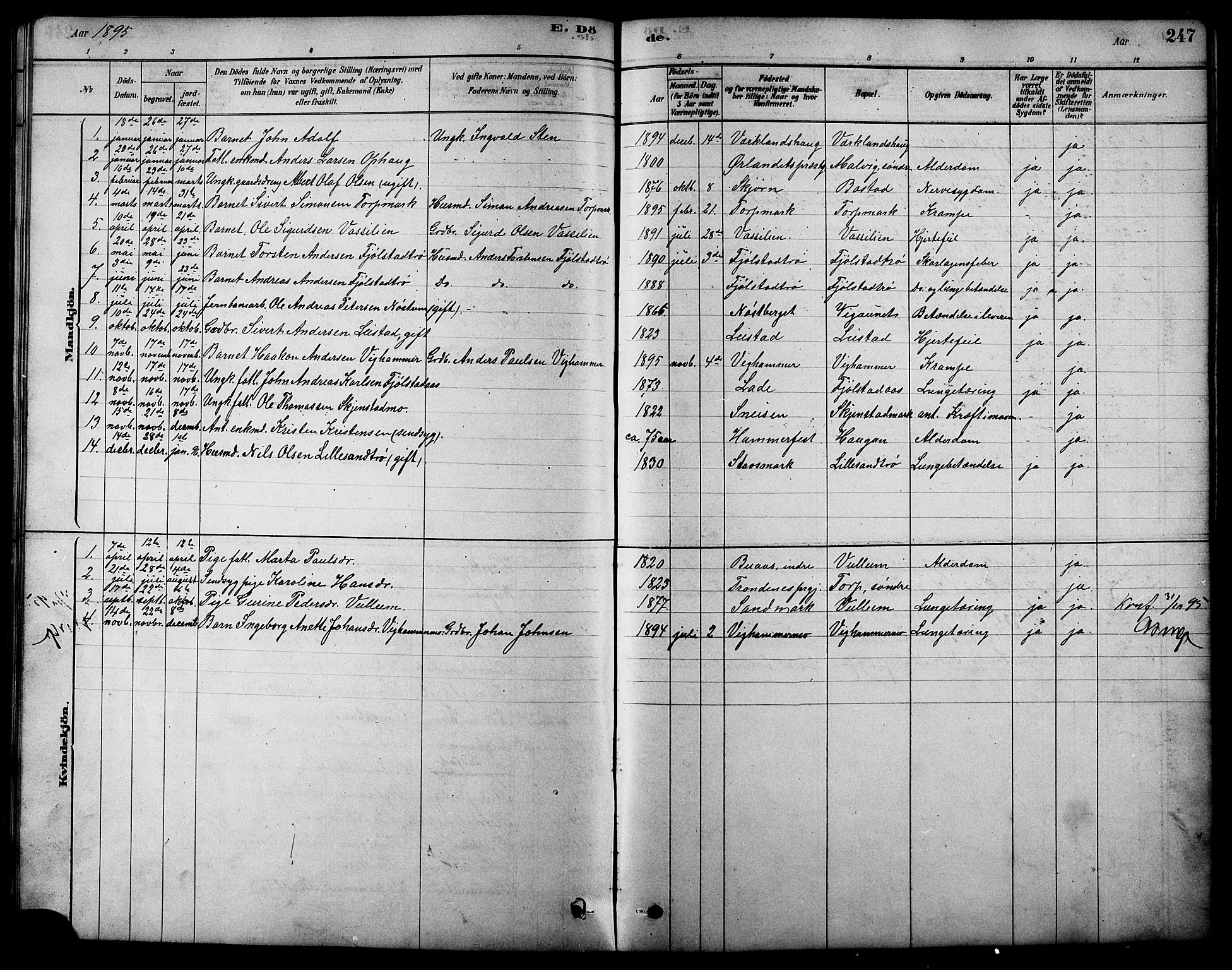 Ministerialprotokoller, klokkerbøker og fødselsregistre - Sør-Trøndelag, SAT/A-1456/616/L0423: Parish register (copy) no. 616C06, 1878-1903, p. 247