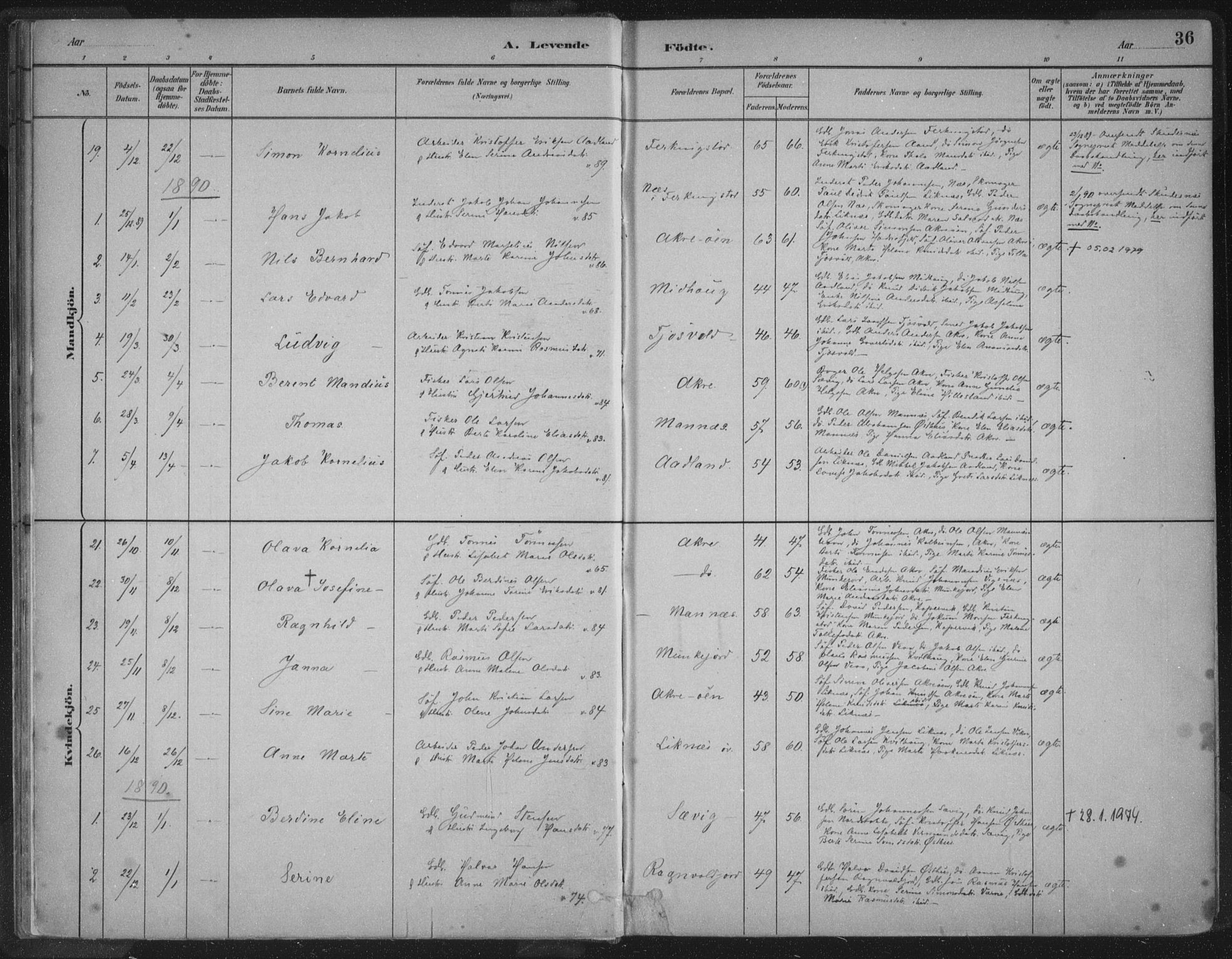 Kopervik sokneprestkontor, SAST/A-101850/H/Ha/Haa/L0004: Parish register (official) no. A 4, 1882-1905, p. 36