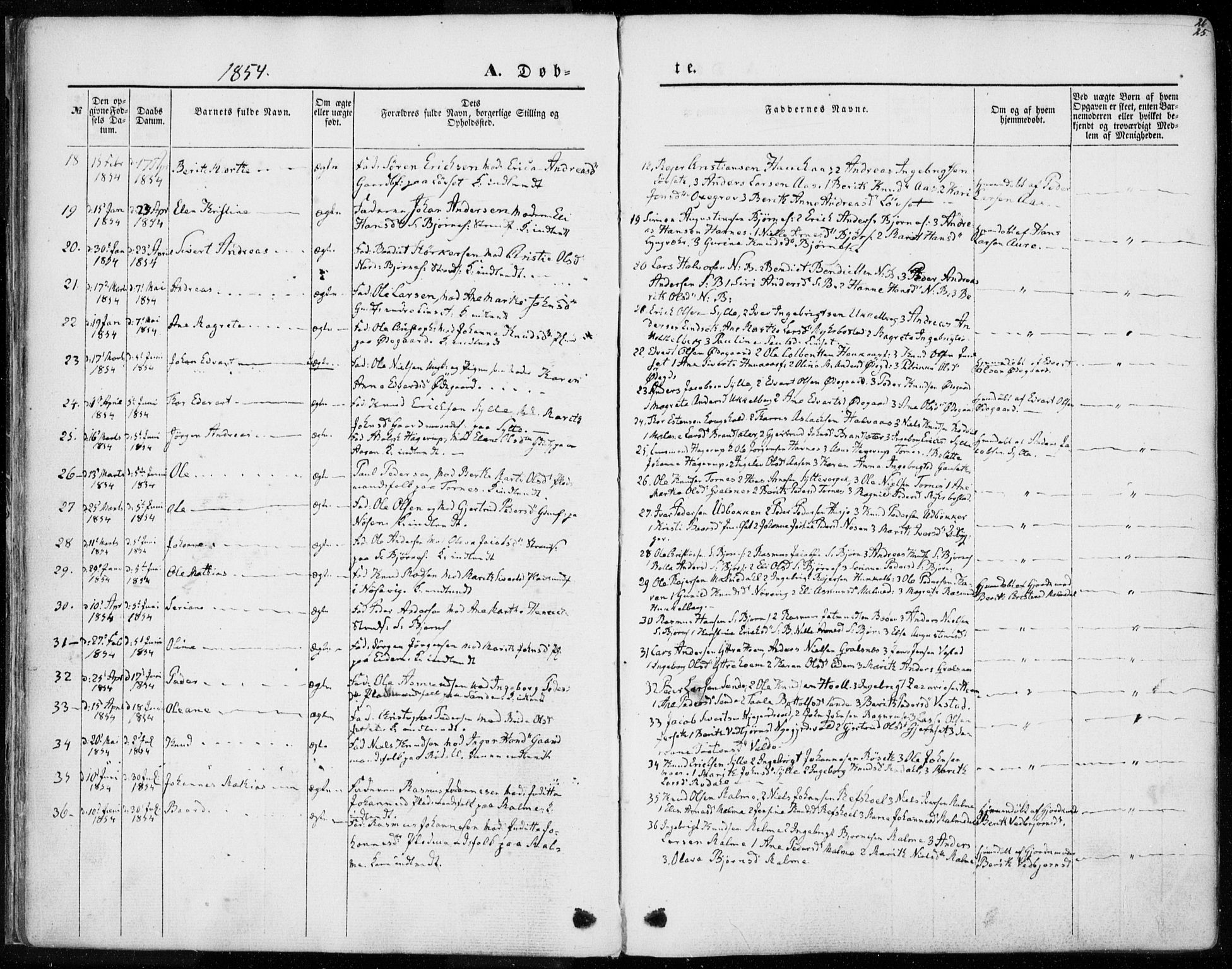 Ministerialprotokoller, klokkerbøker og fødselsregistre - Møre og Romsdal, SAT/A-1454/565/L0748: Parish register (official) no. 565A02, 1845-1872, p. 25