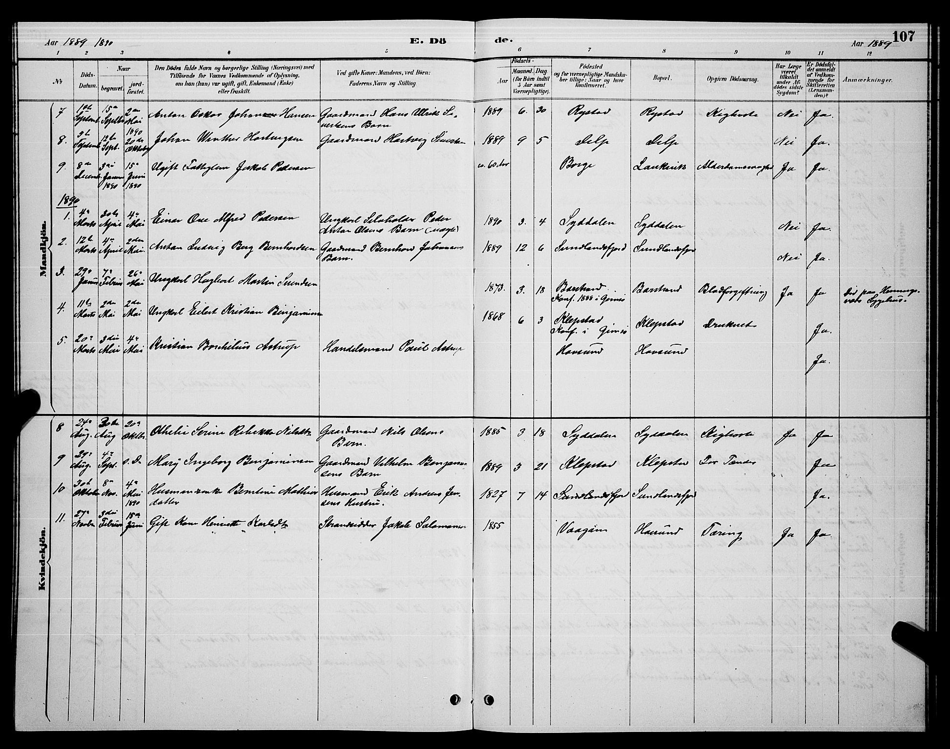 Ministerialprotokoller, klokkerbøker og fødselsregistre - Nordland, AV/SAT-A-1459/876/L1104: Parish register (copy) no. 876C03, 1886-1896, p. 107