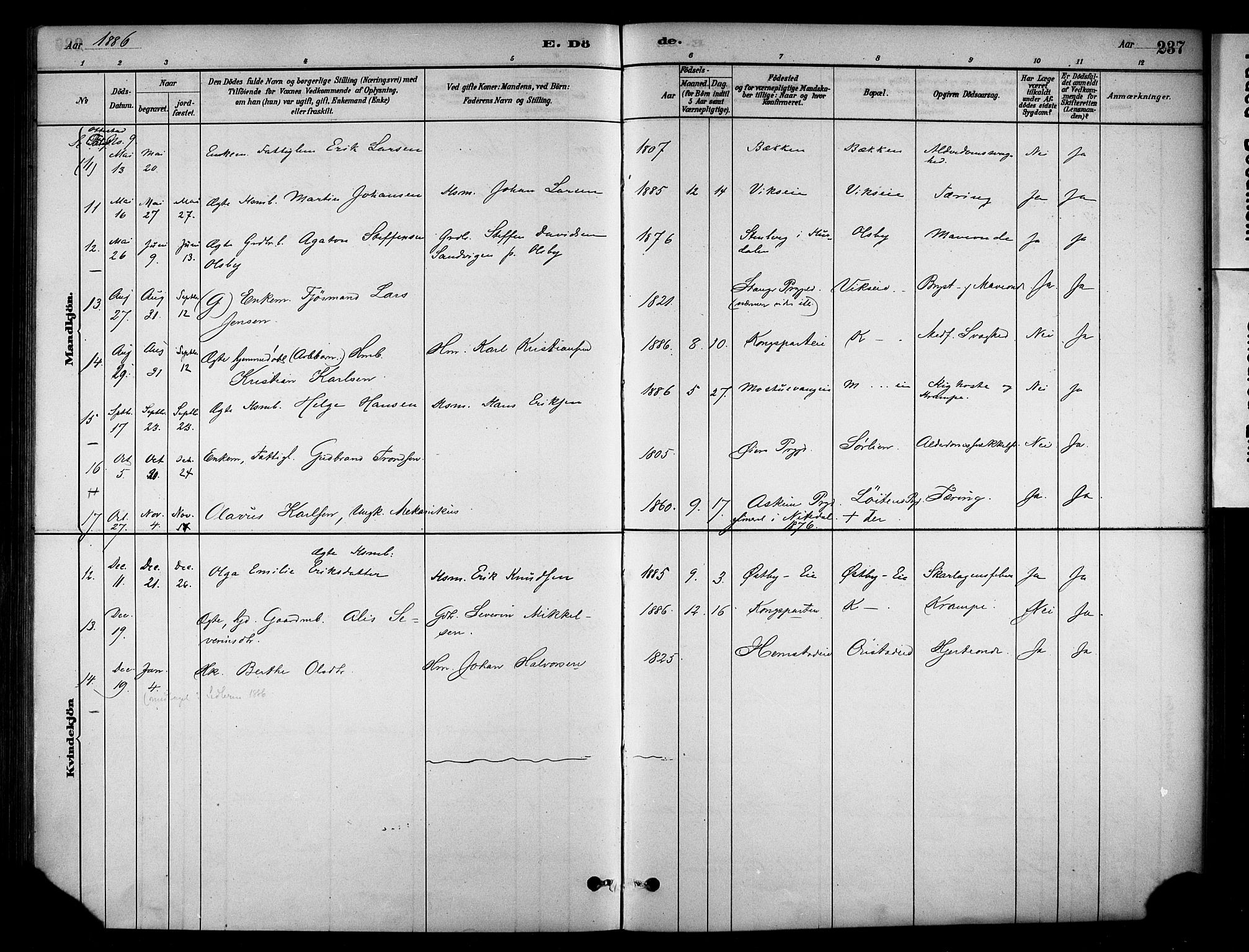 Stange prestekontor, AV/SAH-PREST-002/K/L0018: Parish register (official) no. 18, 1880-1896, p. 237