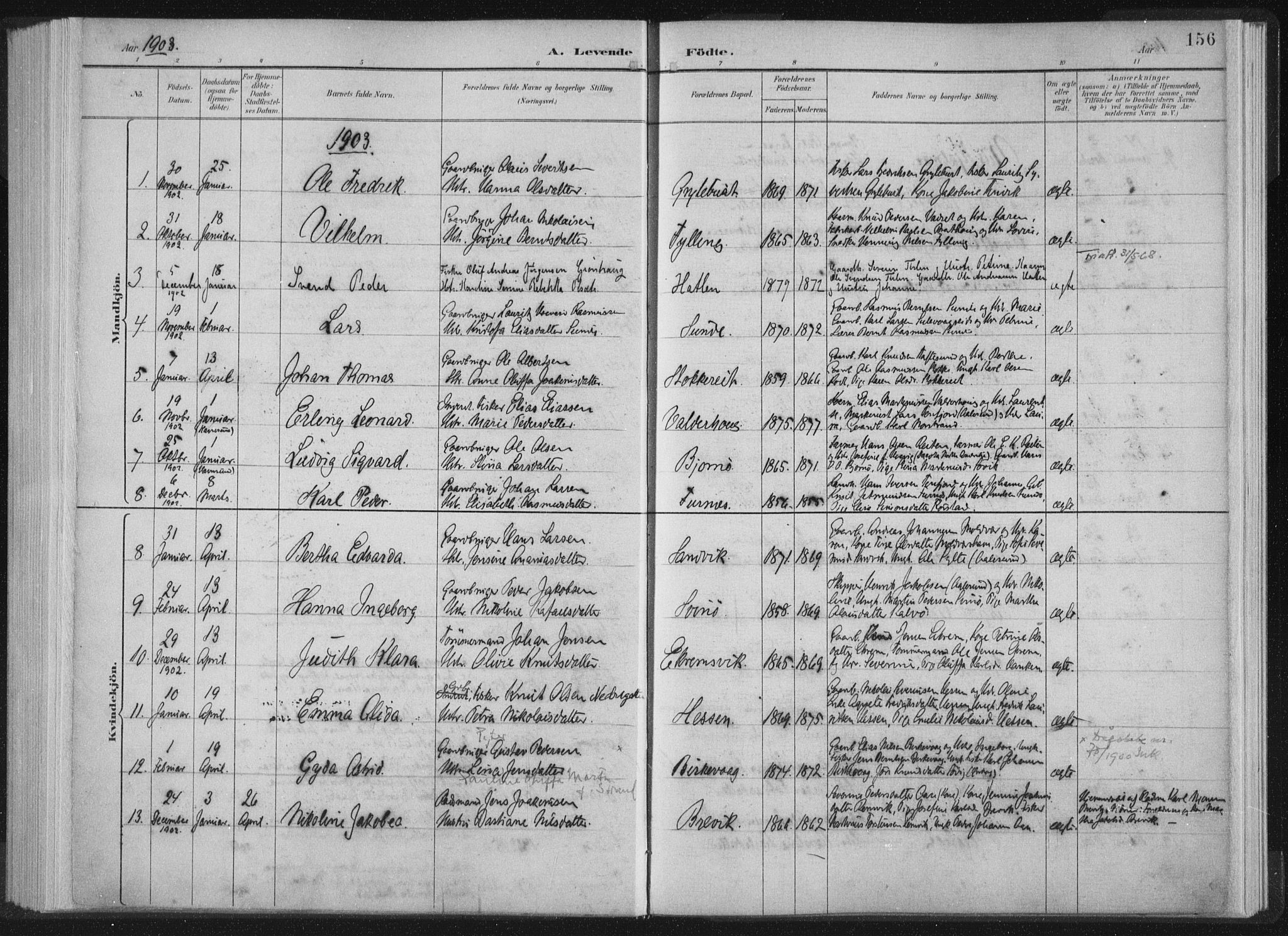 Ministerialprotokoller, klokkerbøker og fødselsregistre - Møre og Romsdal, AV/SAT-A-1454/528/L0405: Parish register (official) no. 528A14, 1891-1906, p. 156