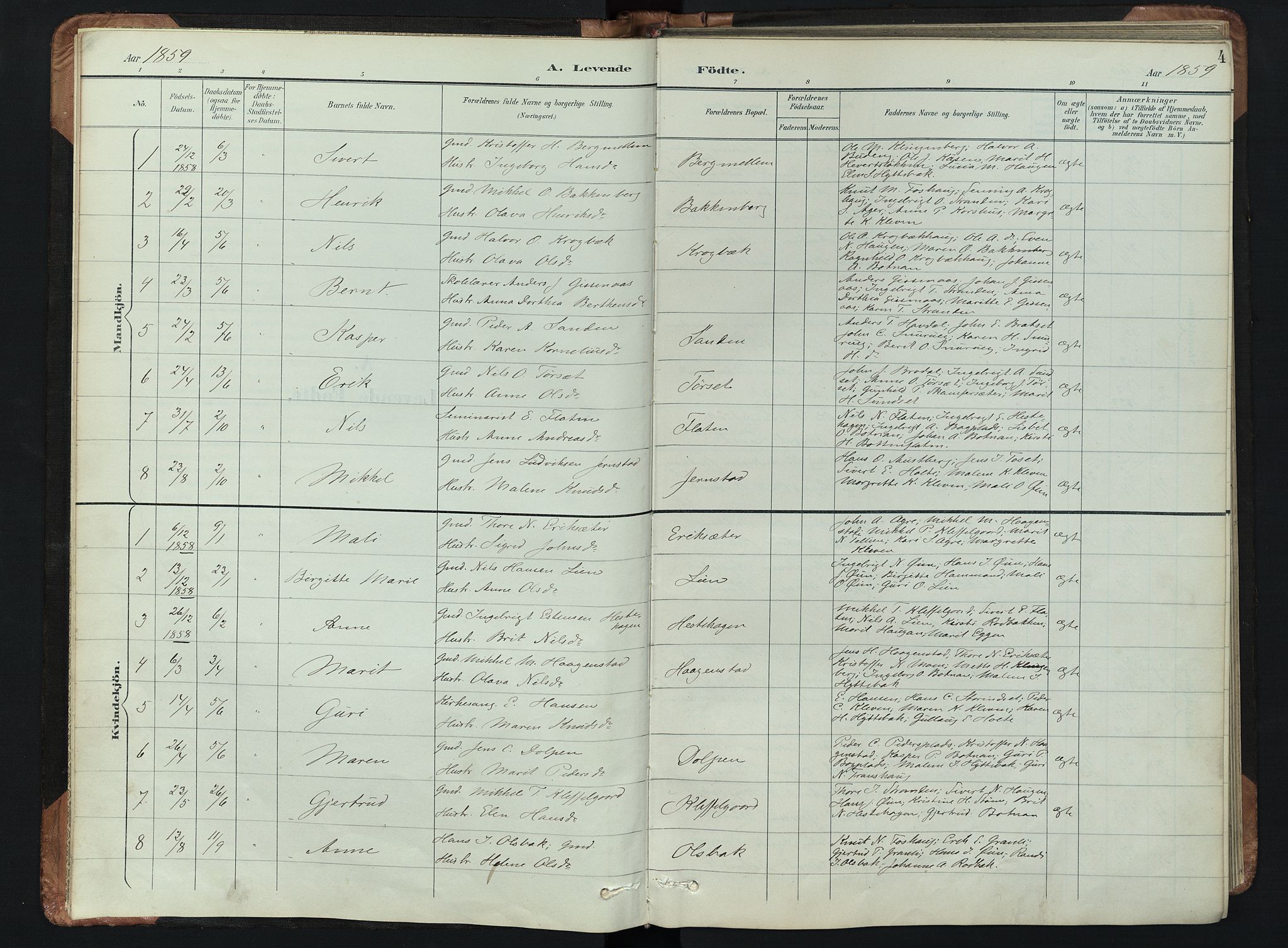 Kvikne prestekontor, AV/SAH-PREST-064/H/Ha/Hab/L0002: Parish register (copy) no. 2, 1859-1901, p. 4