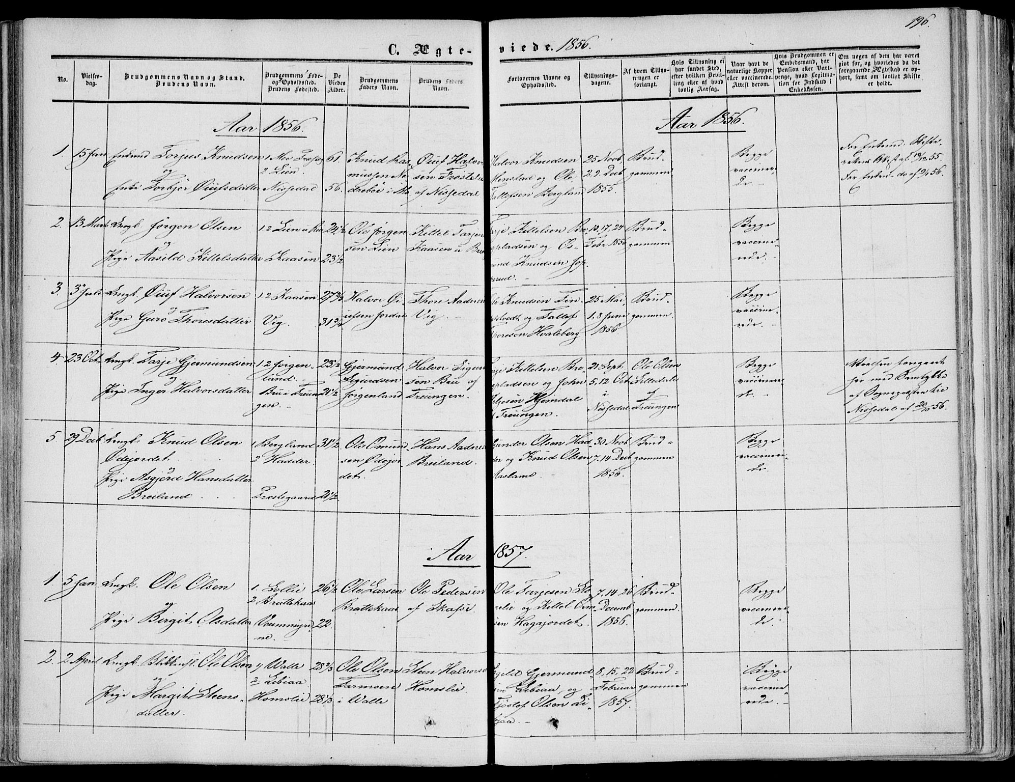 Fyresdal kirkebøker, SAKO/A-263/F/Fa/L0005: Parish register (official) no. I 5, 1855-1871, p. 196