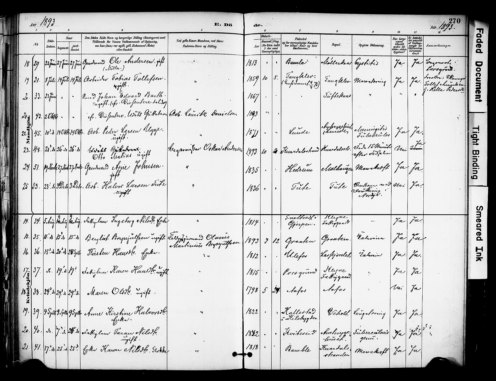 Solum kirkebøker, SAKO/A-306/F/Fa/L0010: Parish register (official) no. I 10, 1888-1898, p. 270