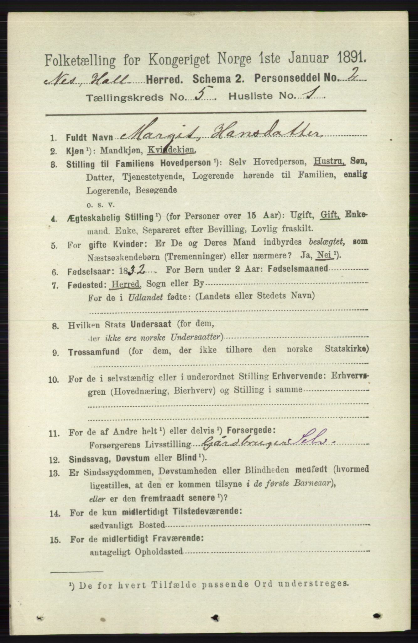 RA, 1891 census for 0616 Nes, 1891, p. 2637