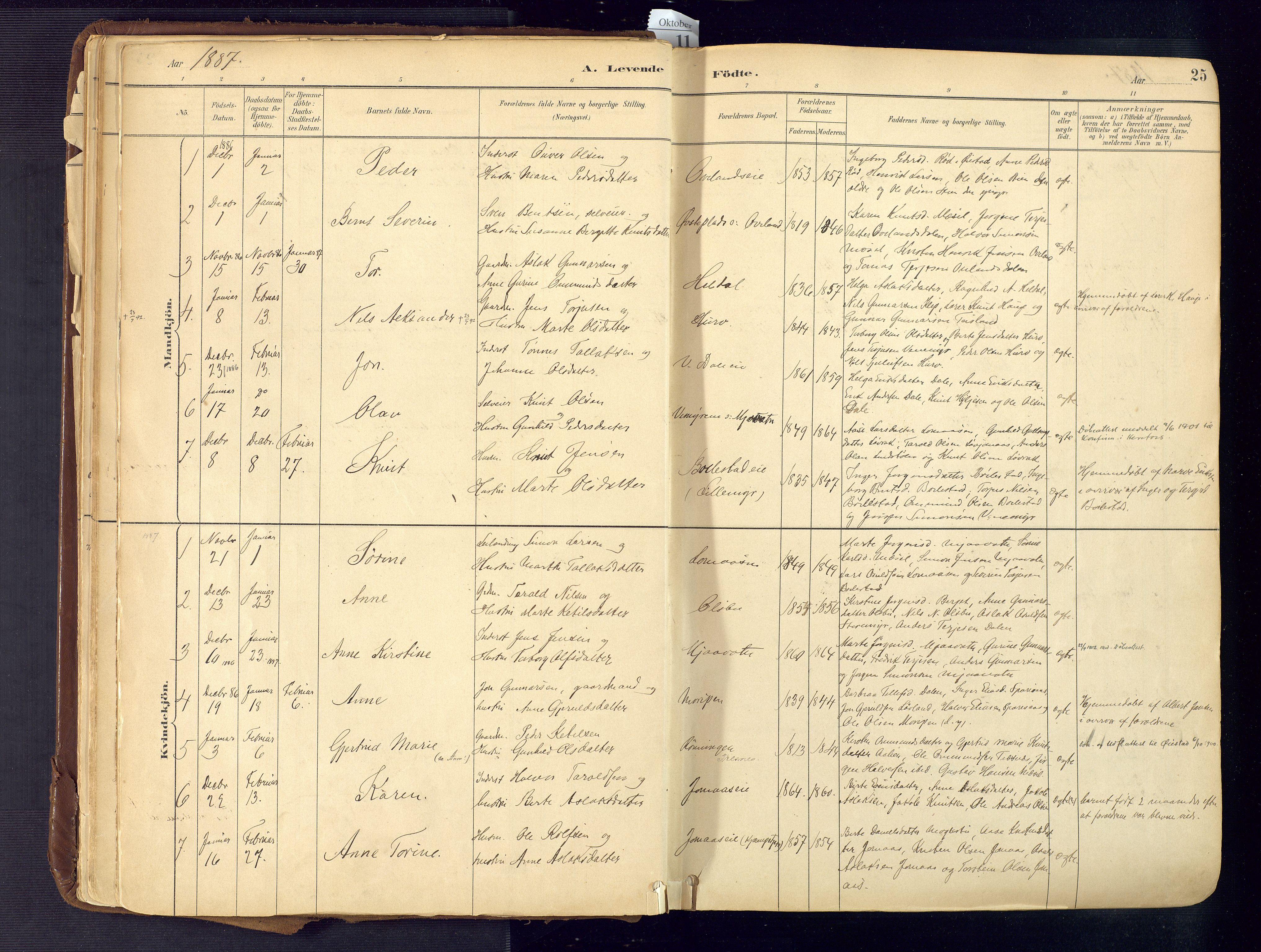 Froland sokneprestkontor, SAK/1111-0013/F/Fa/L0005: Parish register (official) no. A 5, 1882-1921, p. 25