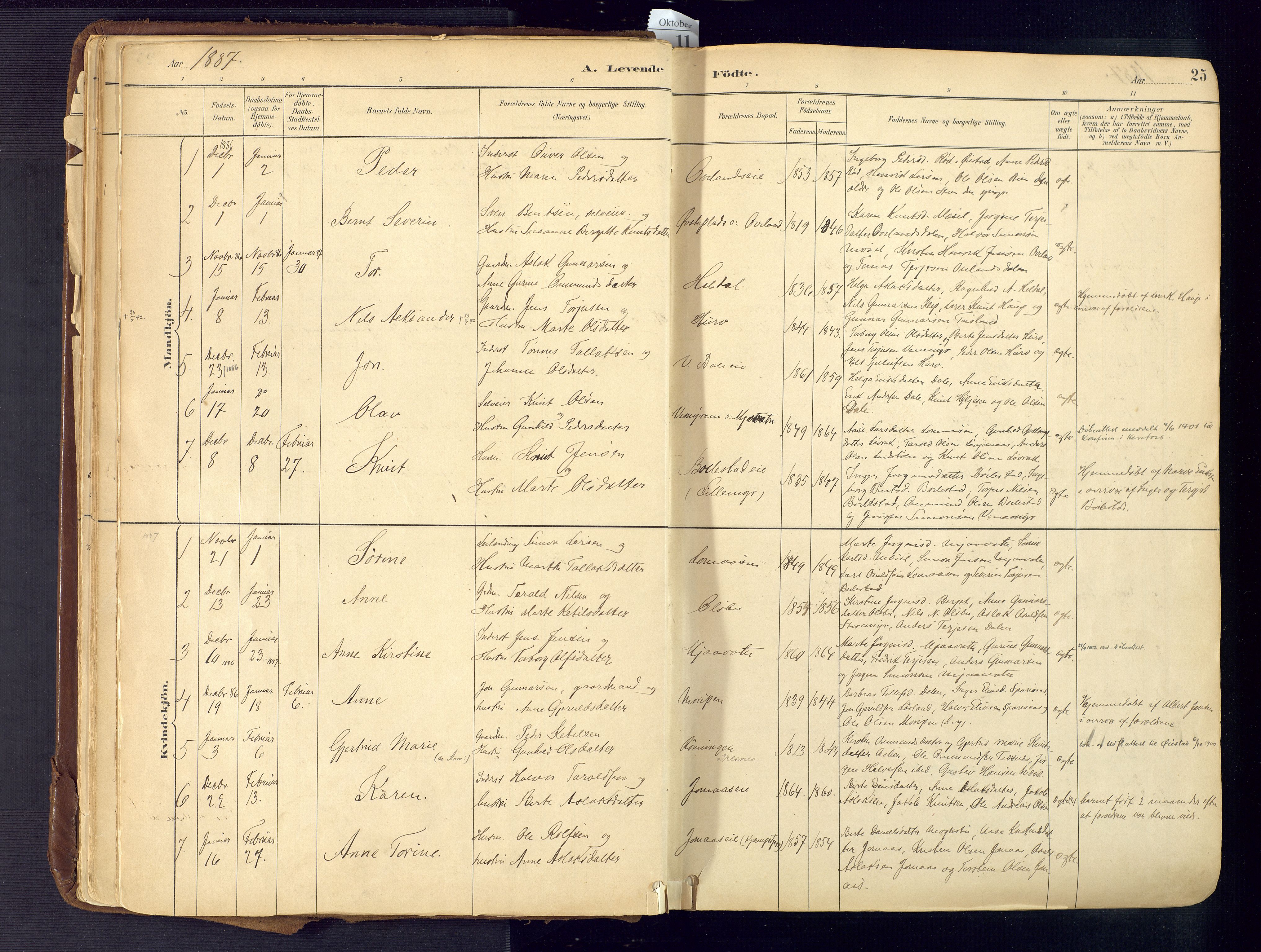 Froland sokneprestkontor, AV/SAK-1111-0013/F/Fa/L0005: Parish register (official) no. A 5, 1882-1921, p. 25