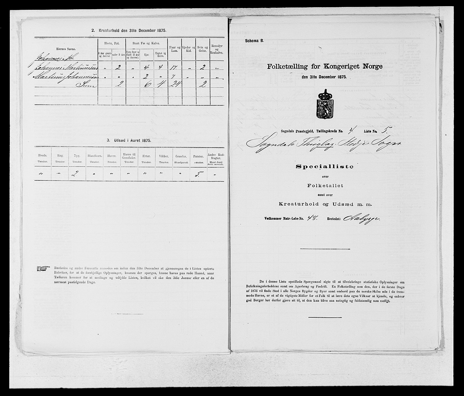 SAB, 1875 census for 1420P Sogndal, 1875, p. 306