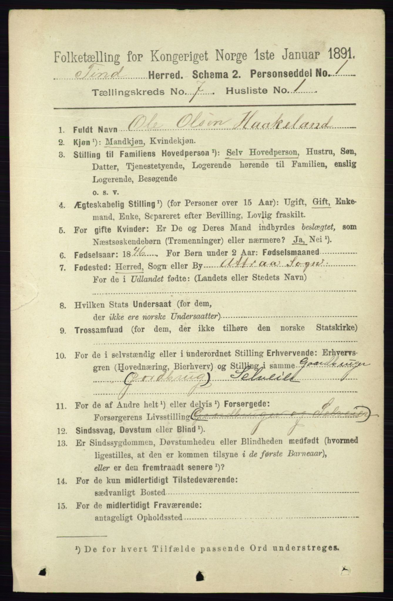 RA, 1891 census for 0826 Tinn, 1891, p. 1439