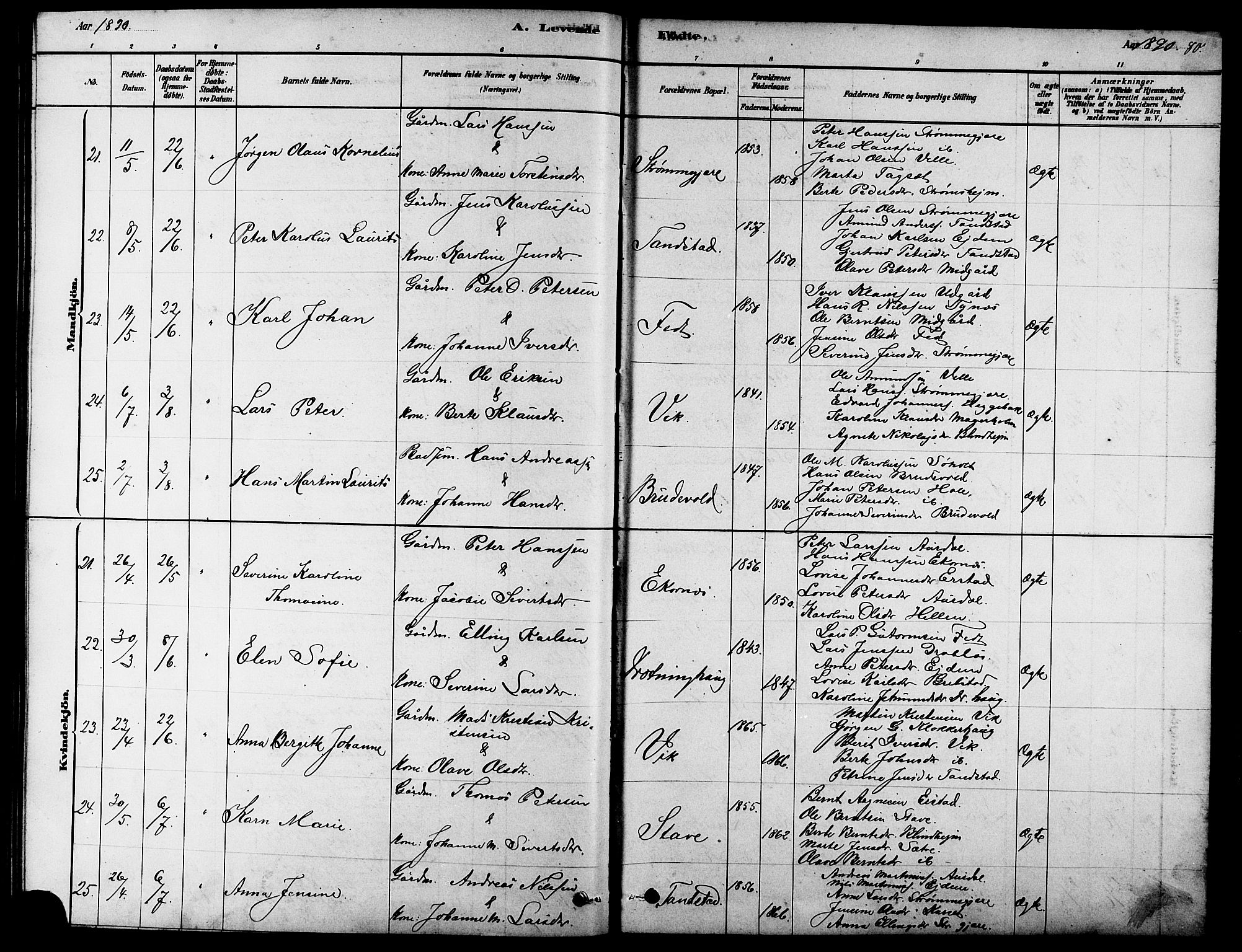 Ministerialprotokoller, klokkerbøker og fødselsregistre - Møre og Romsdal, AV/SAT-A-1454/523/L0339: Parish register (copy) no. 523C02, 1878-1891, p. 80